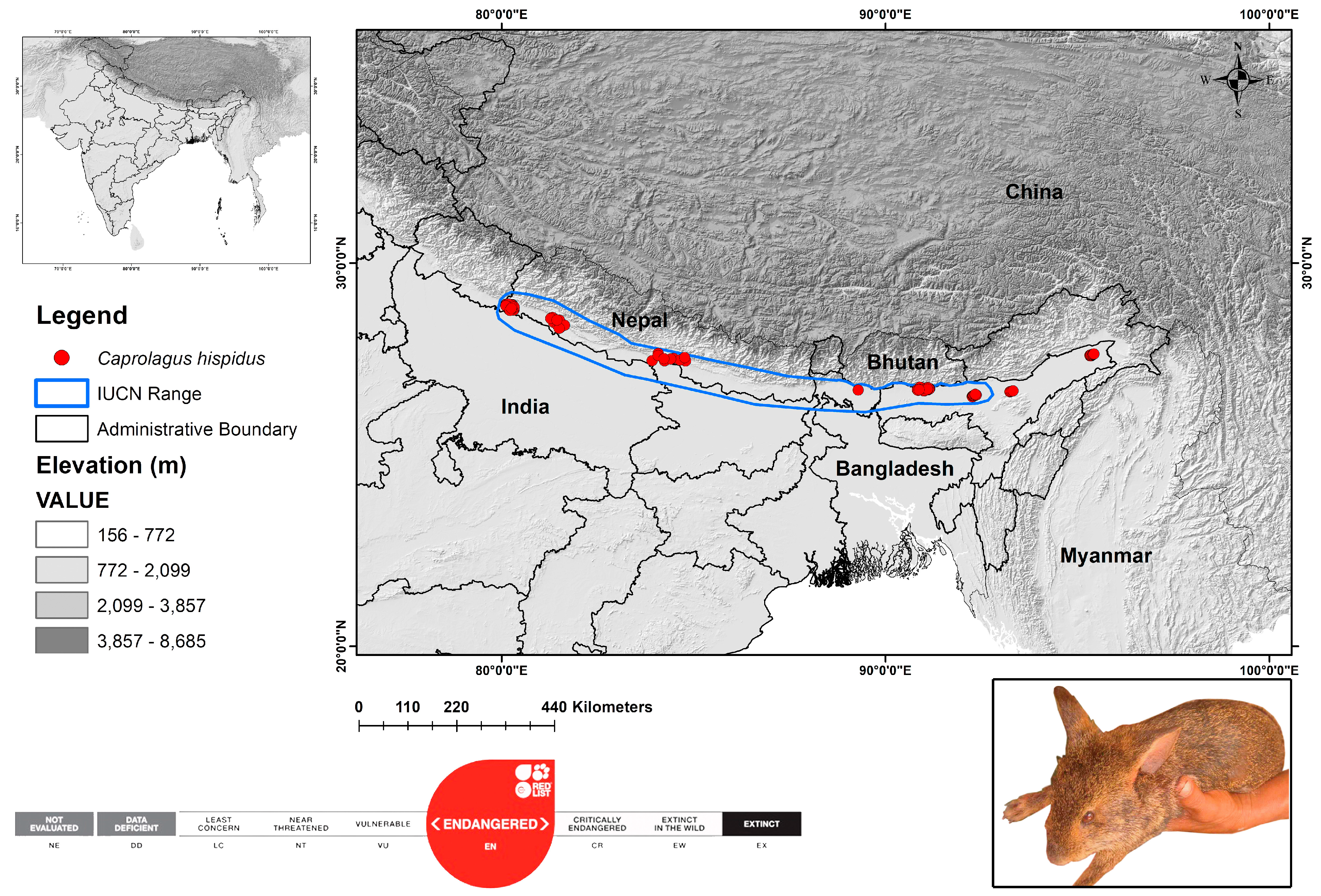 Biology 13 00198 g001