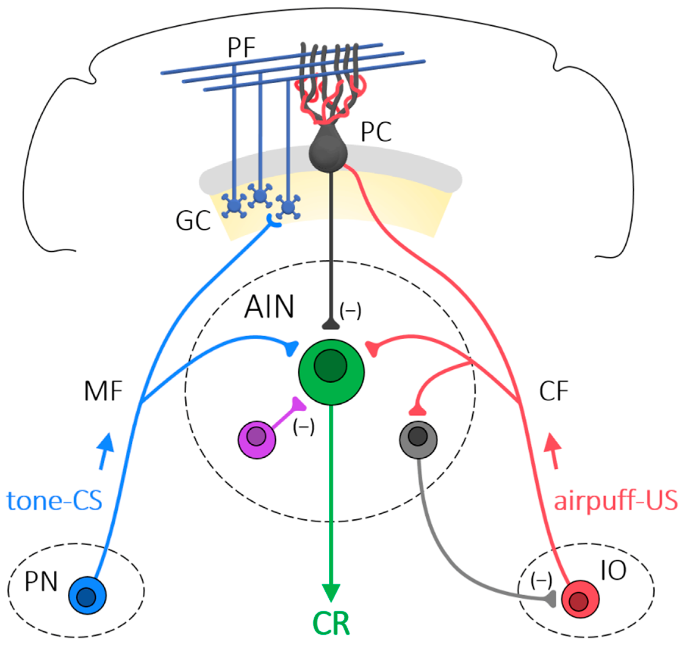 Biology 13 00200 g002 Biology 13 00200 g002