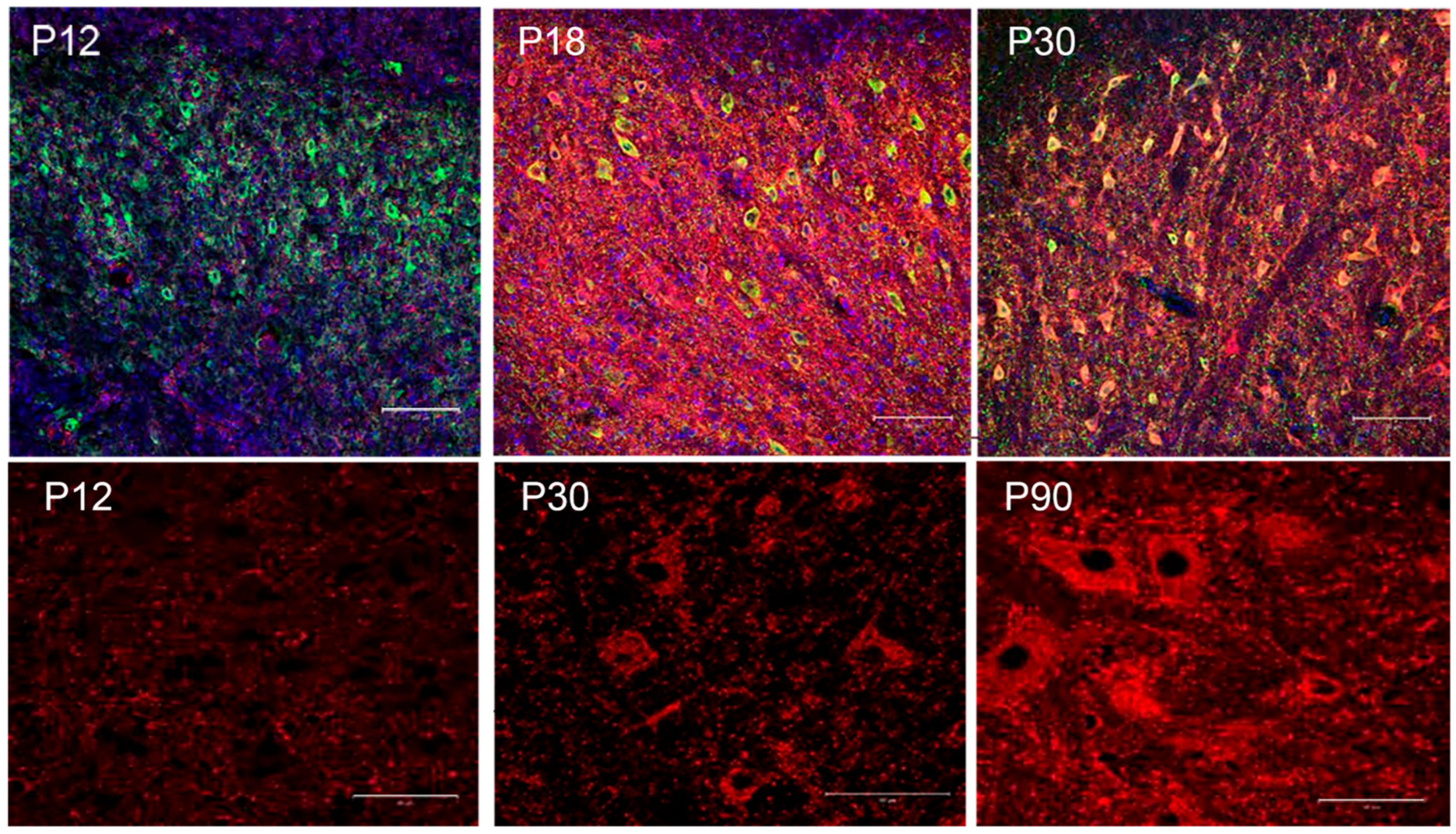 Biology 13 00200 g003 Biology 13 00200 g003