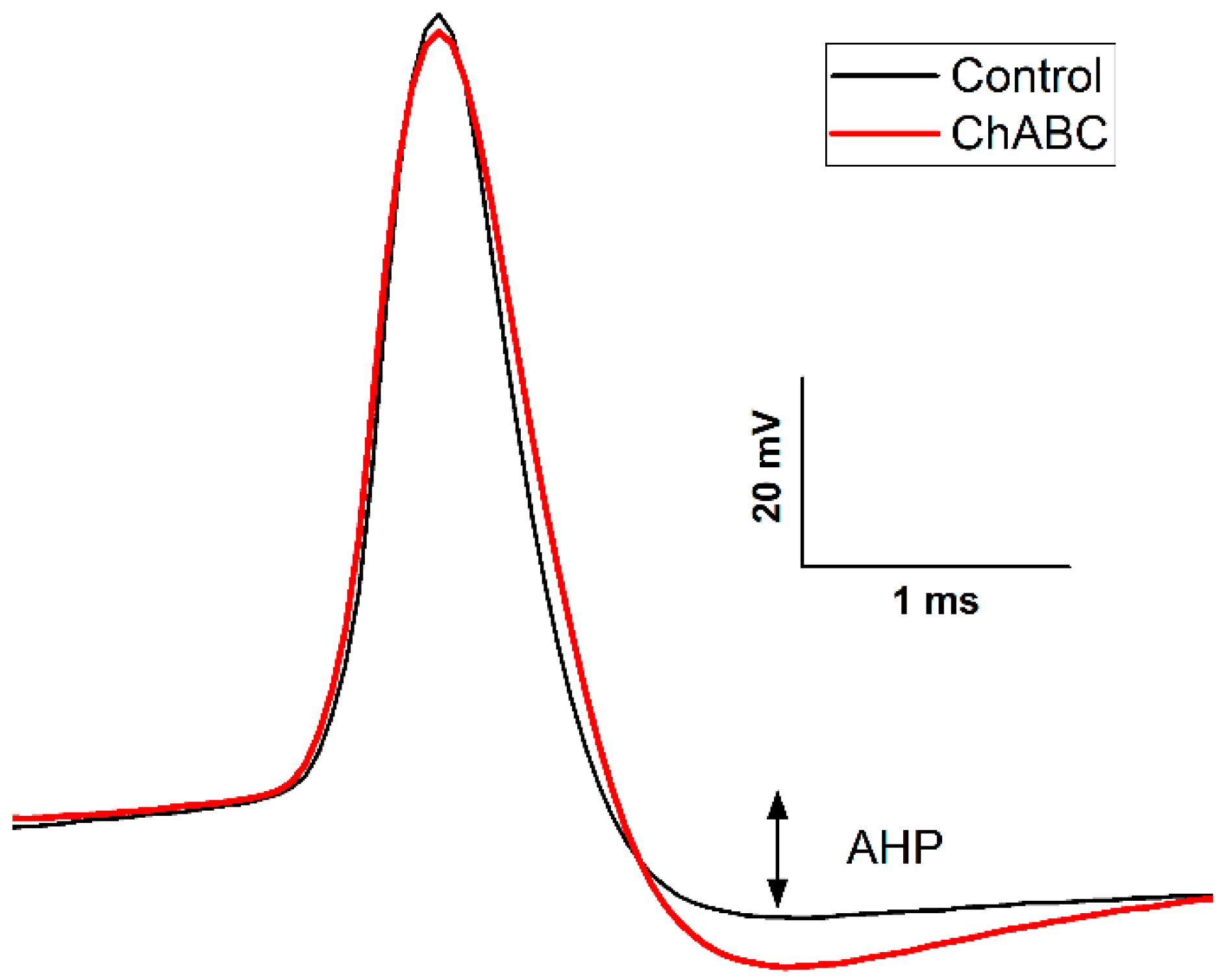 Biology 13 00200 g005 Biology 13 00200 g005