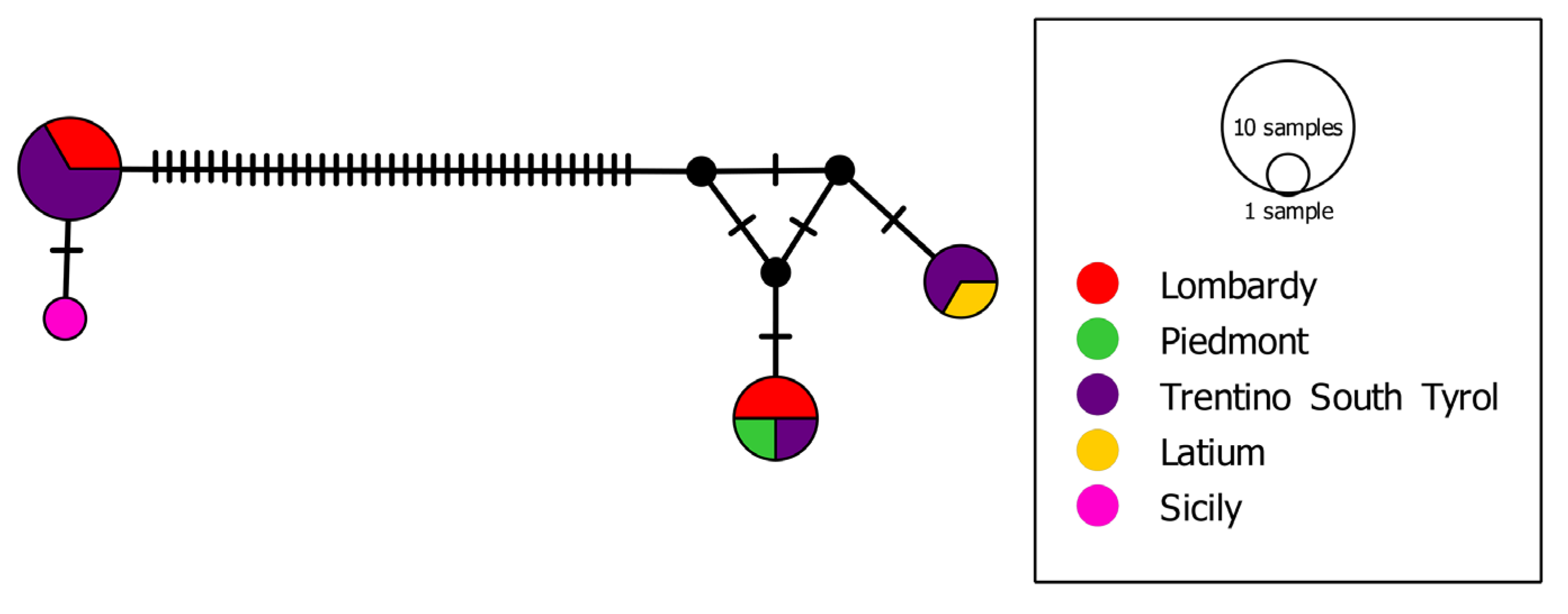 Biology 13 00202 g006 Biology 13 00202 g006
