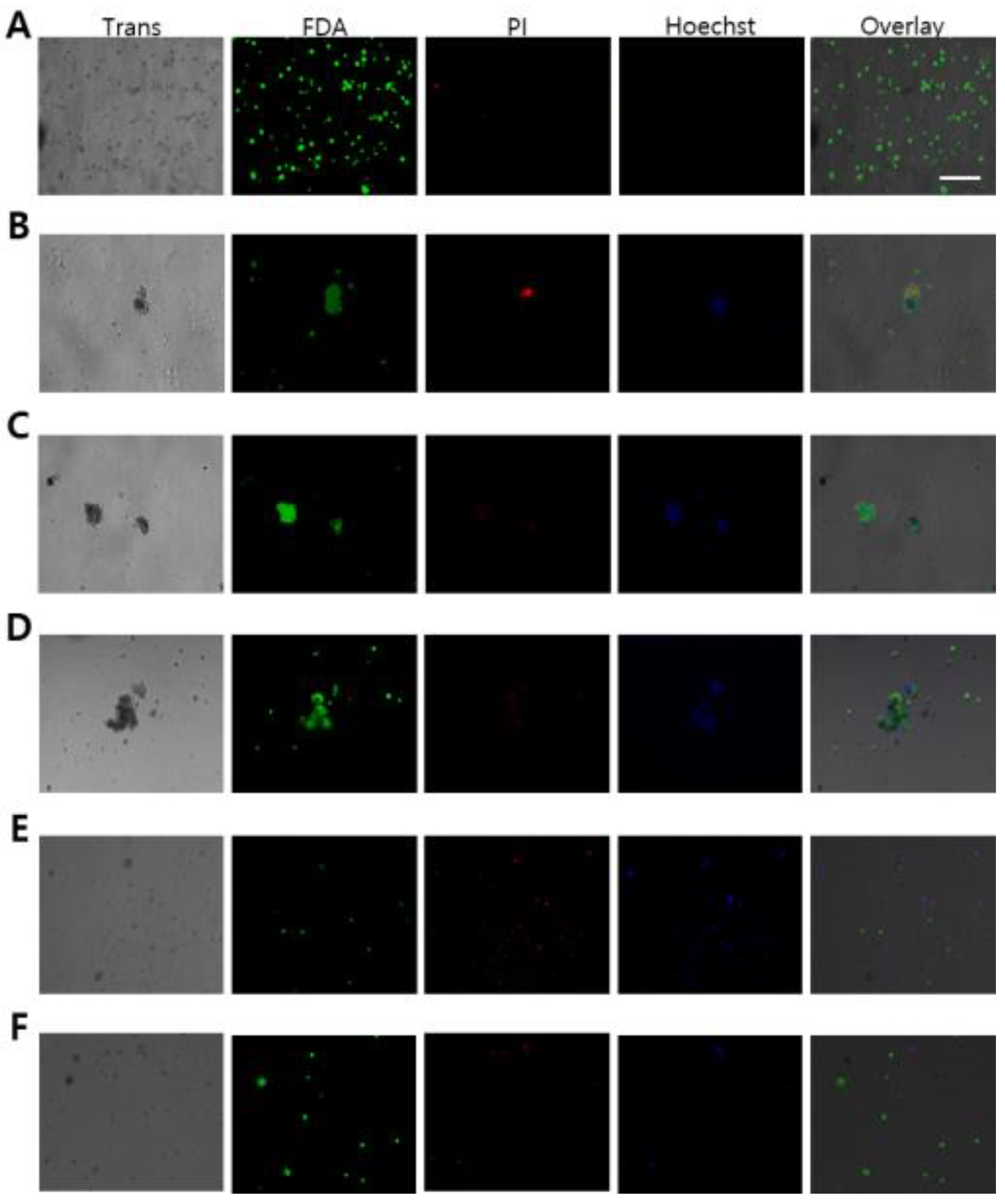 Biology 13 00205 g003 Biology 13 00205 g003