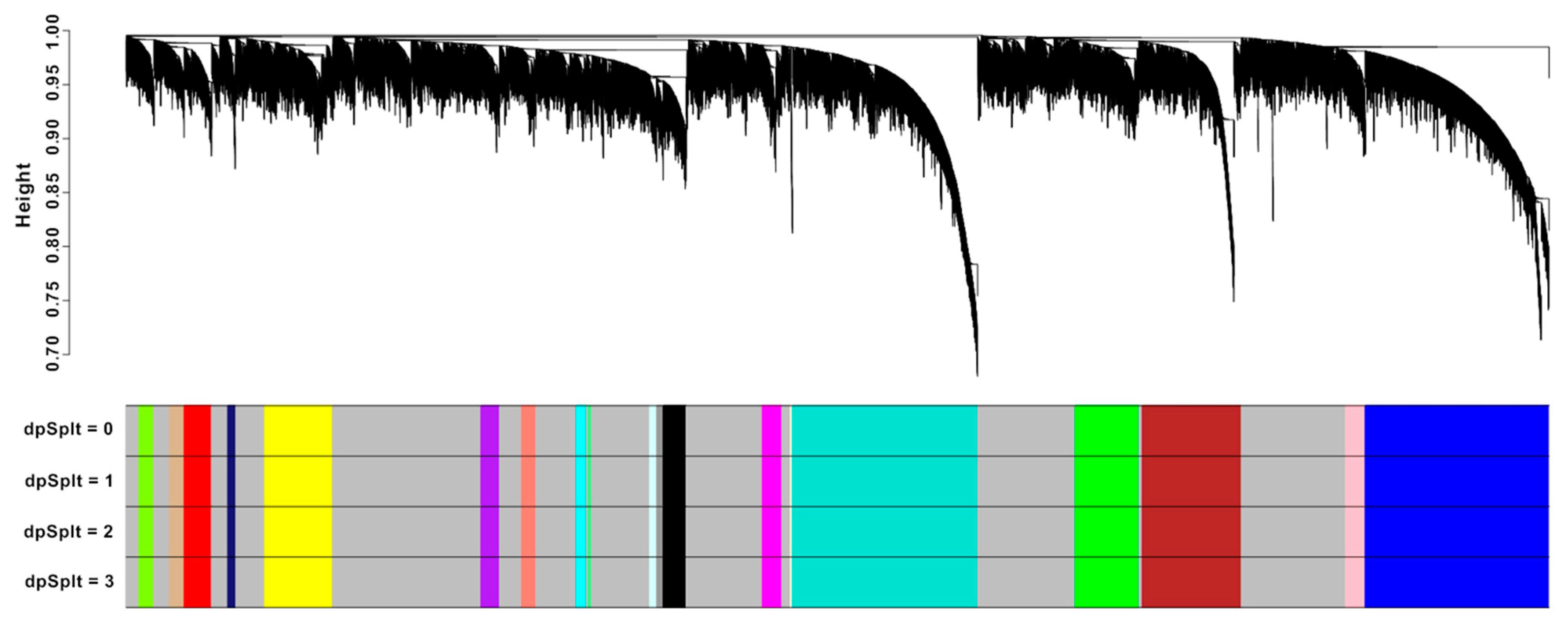 Biology 13 00206 g003 Biology 13 00206 g003