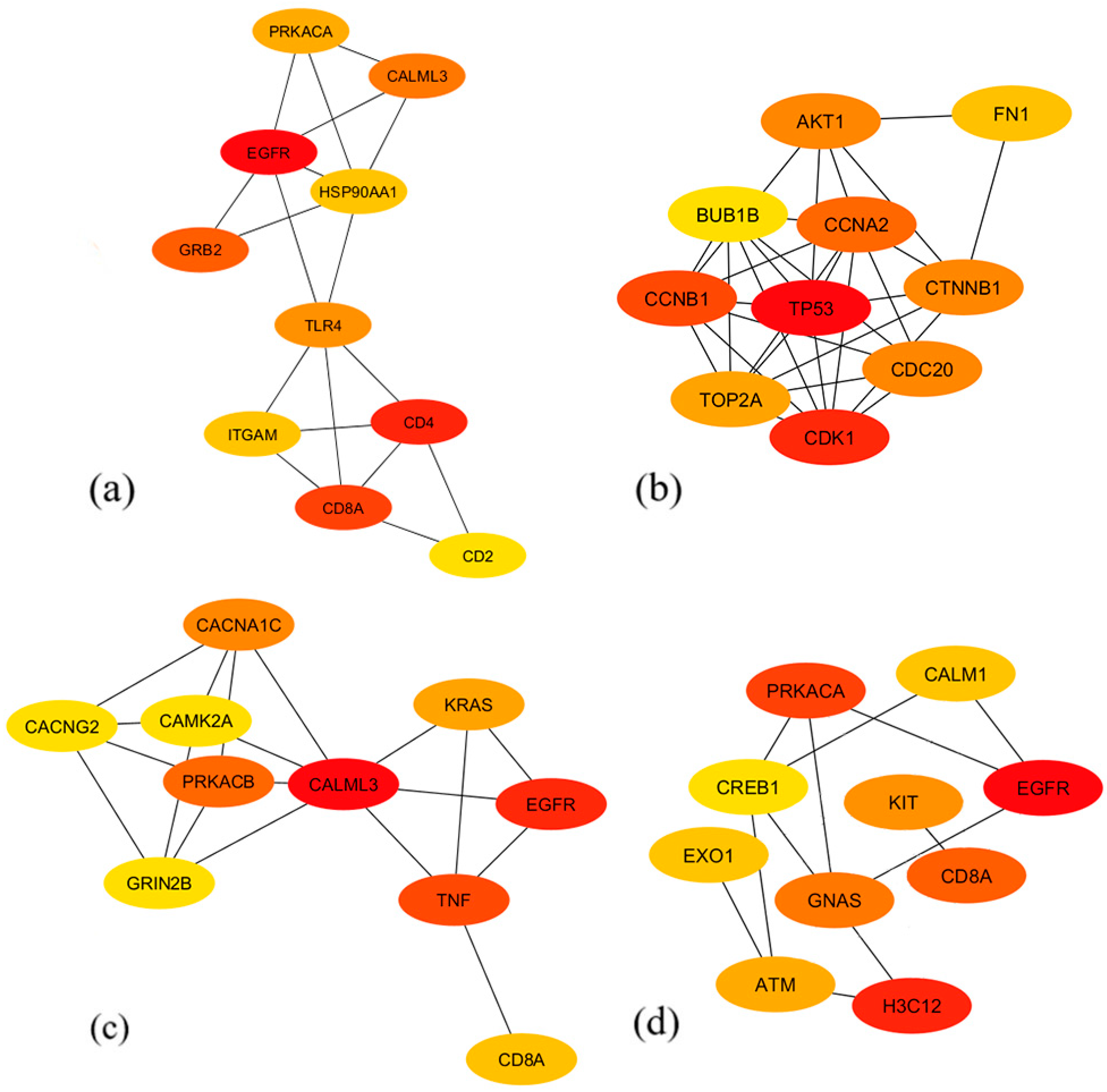 Biology 13 00206 g006 Biology 13 00206 g006