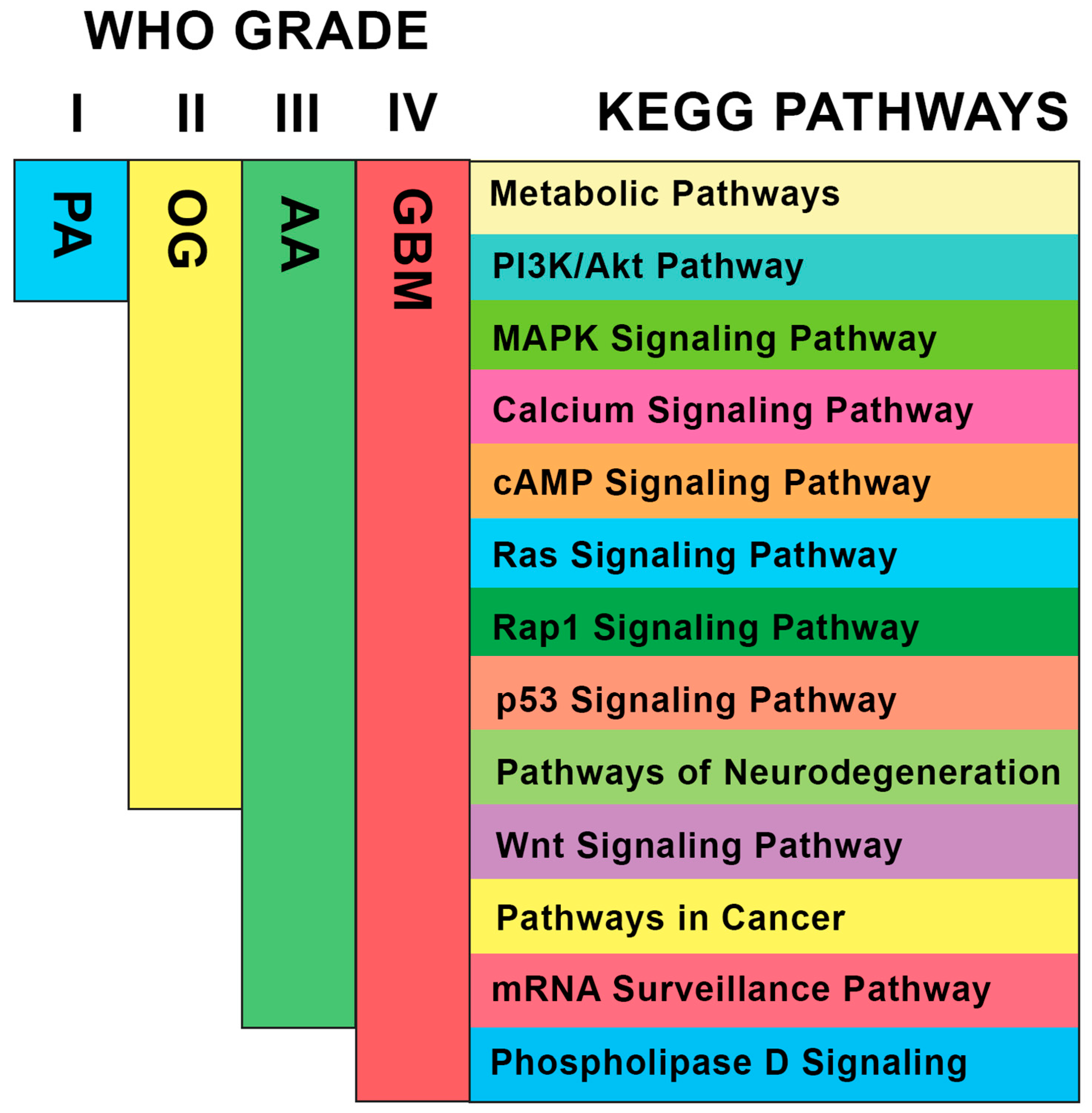 Biology 13 00206 g007 Biology 13 00206 g007