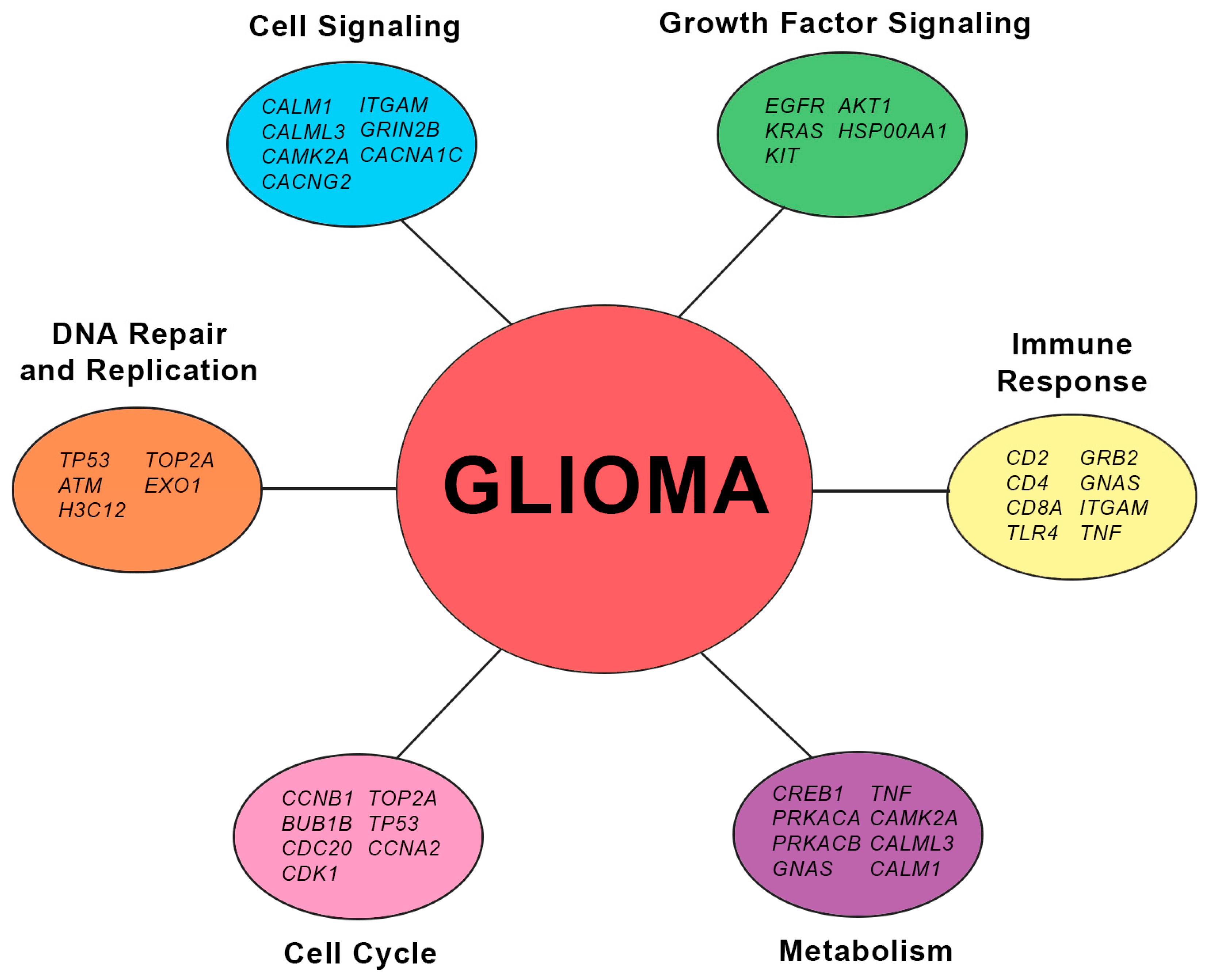 Biology 13 00206 g008 Biology 13 00206 g008