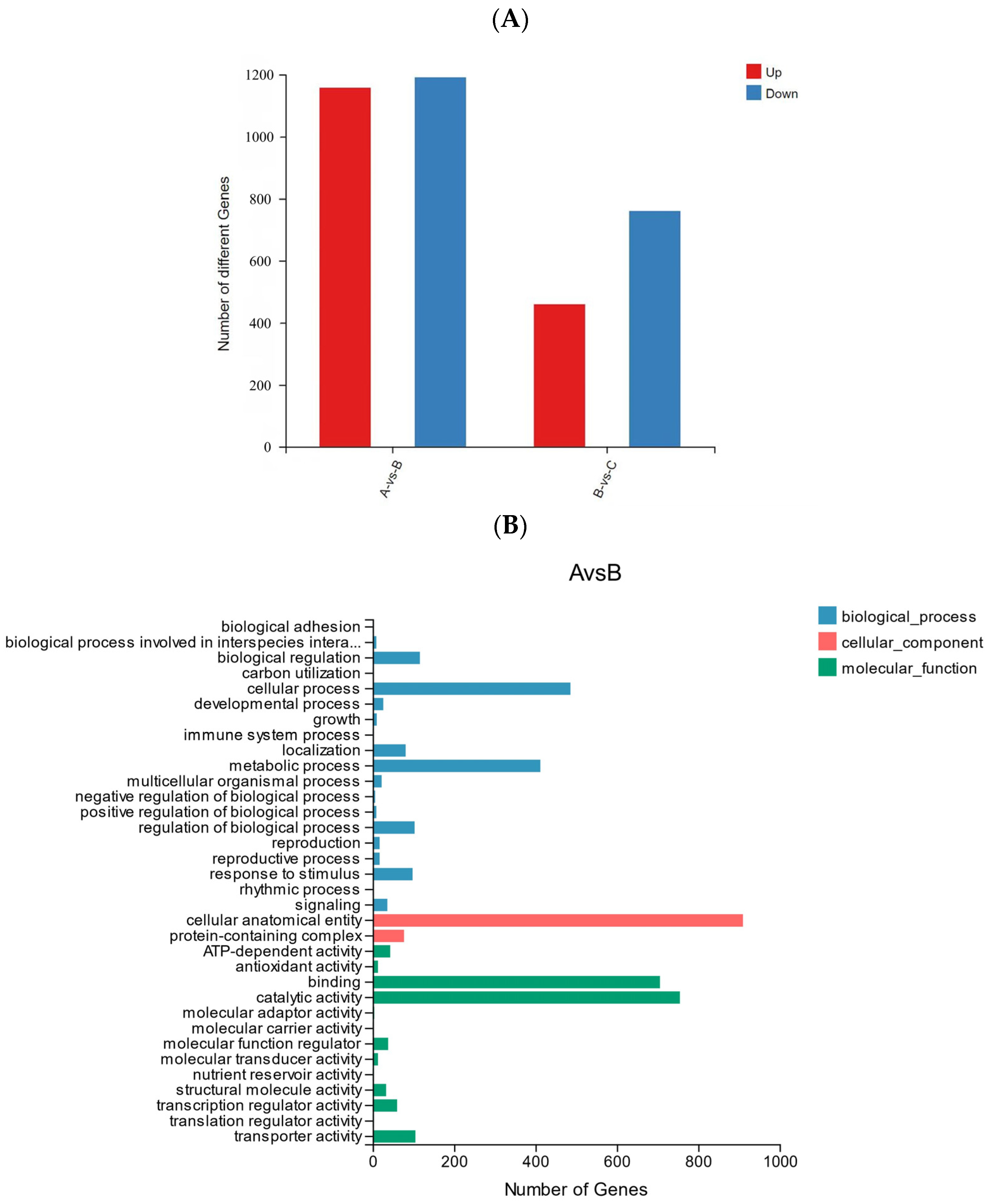 Biology 13 00211 g008a