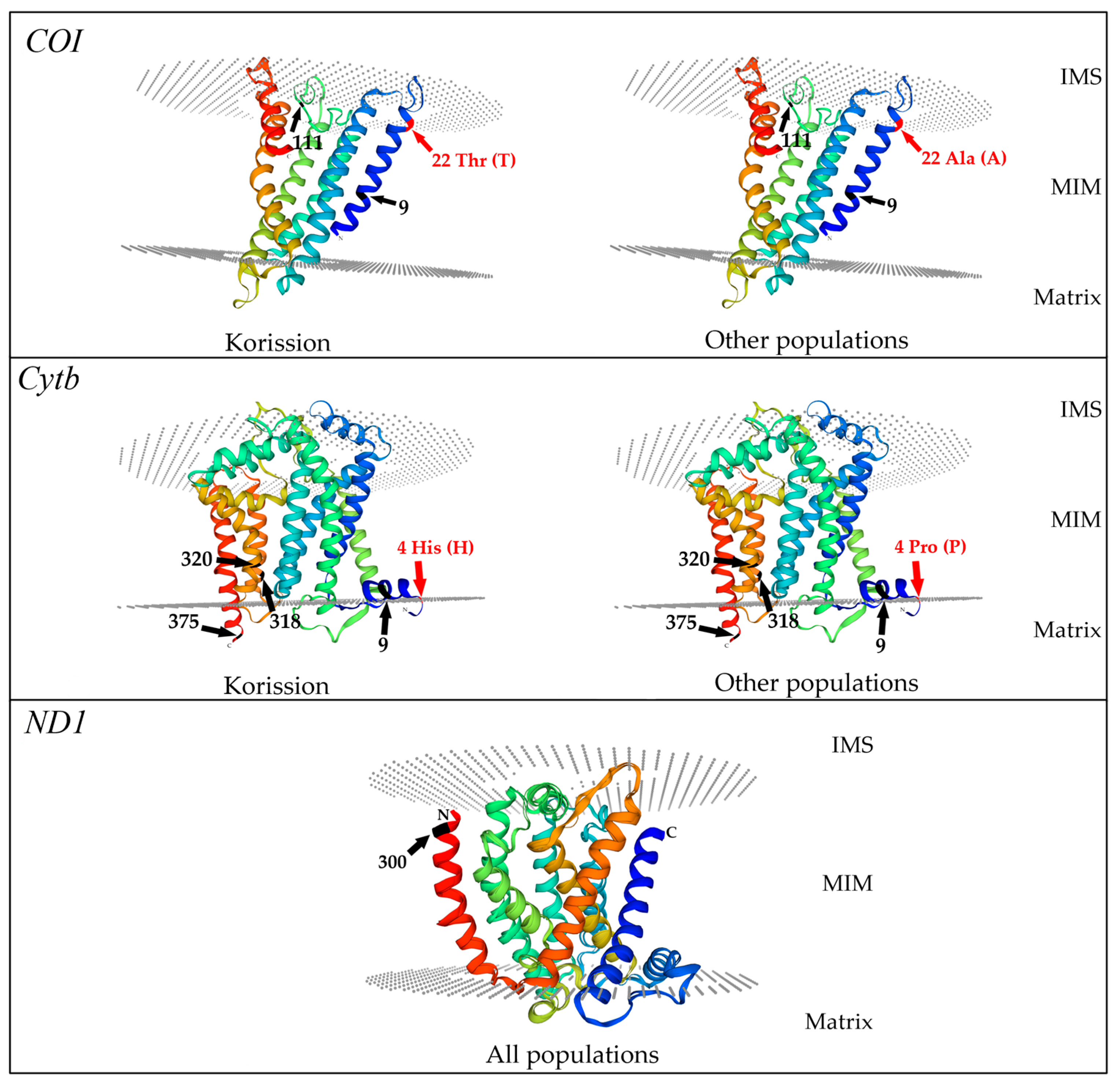 Biology 13 00212 g005