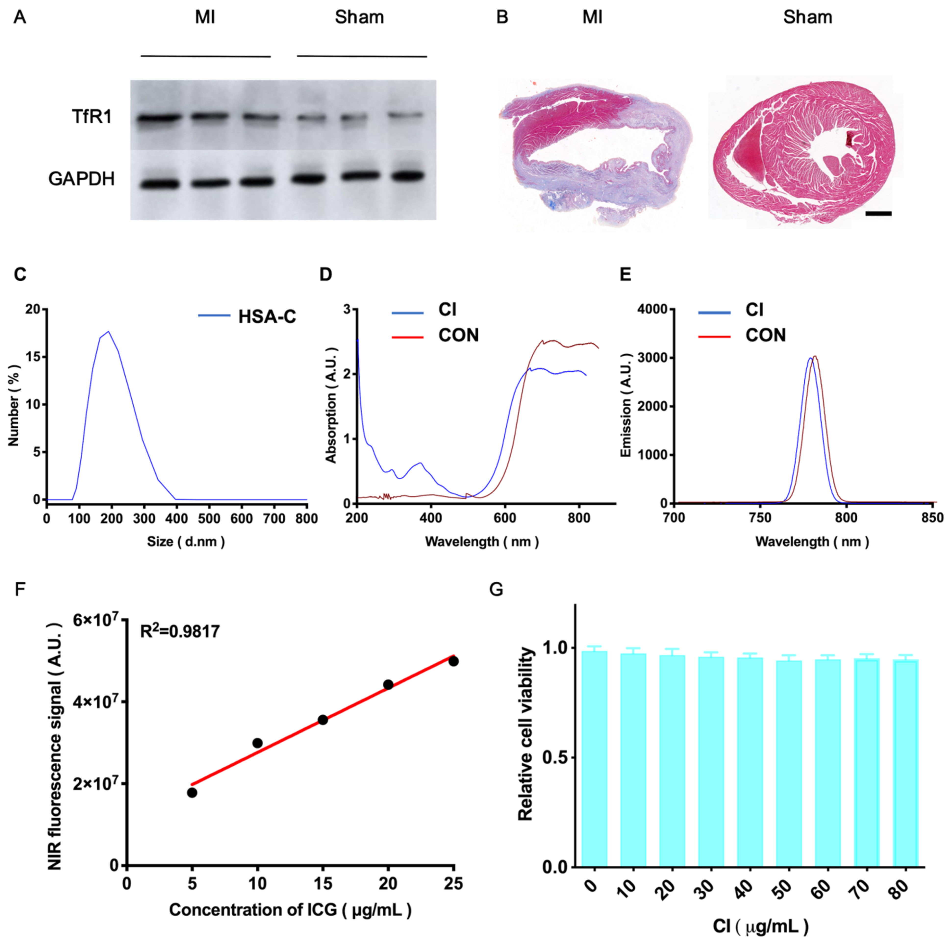 Biology 13 00213 g001 Biology 13 00213 g001