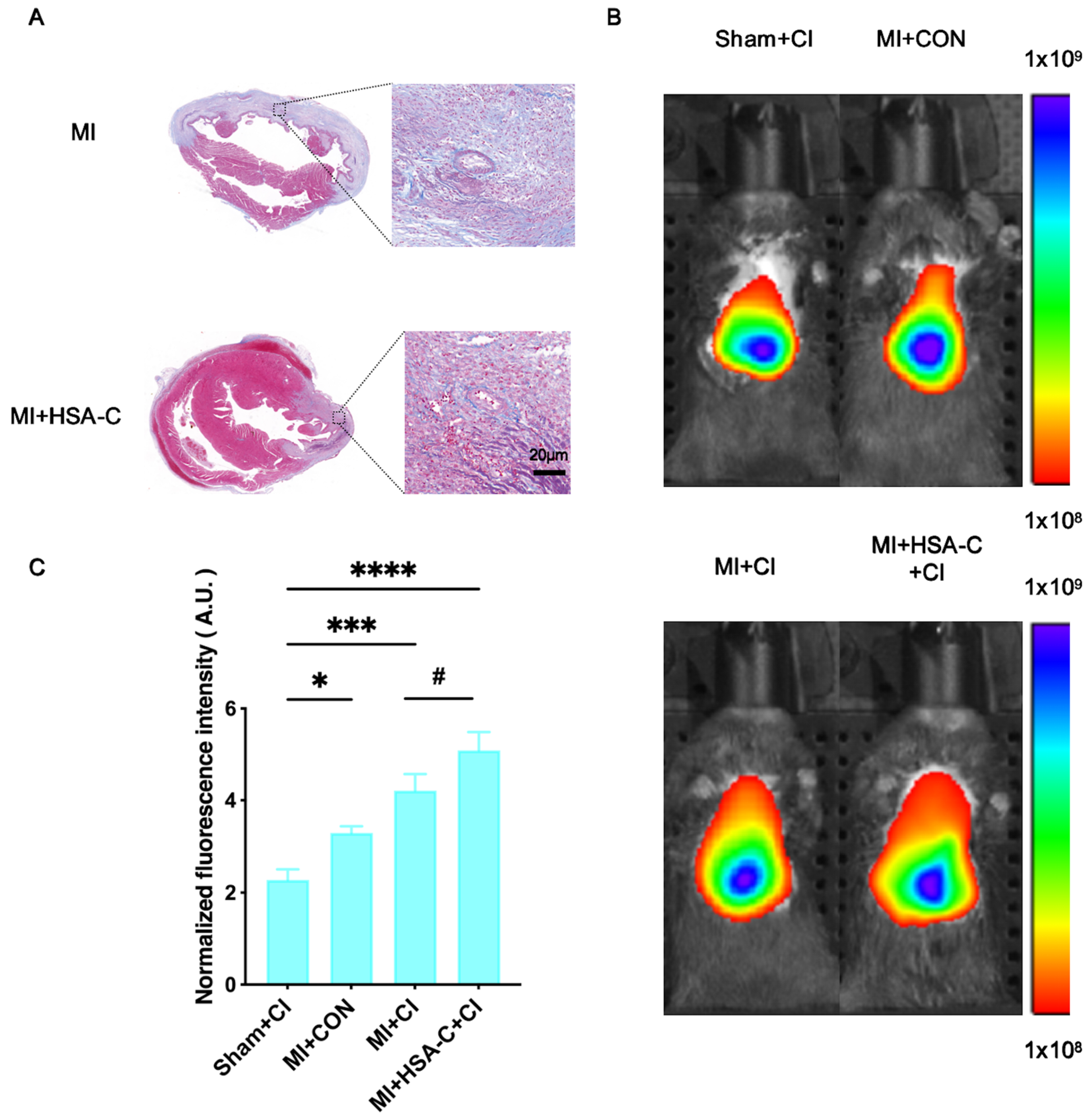 Biology 13 00213 g002 Biology 13 00213 g002