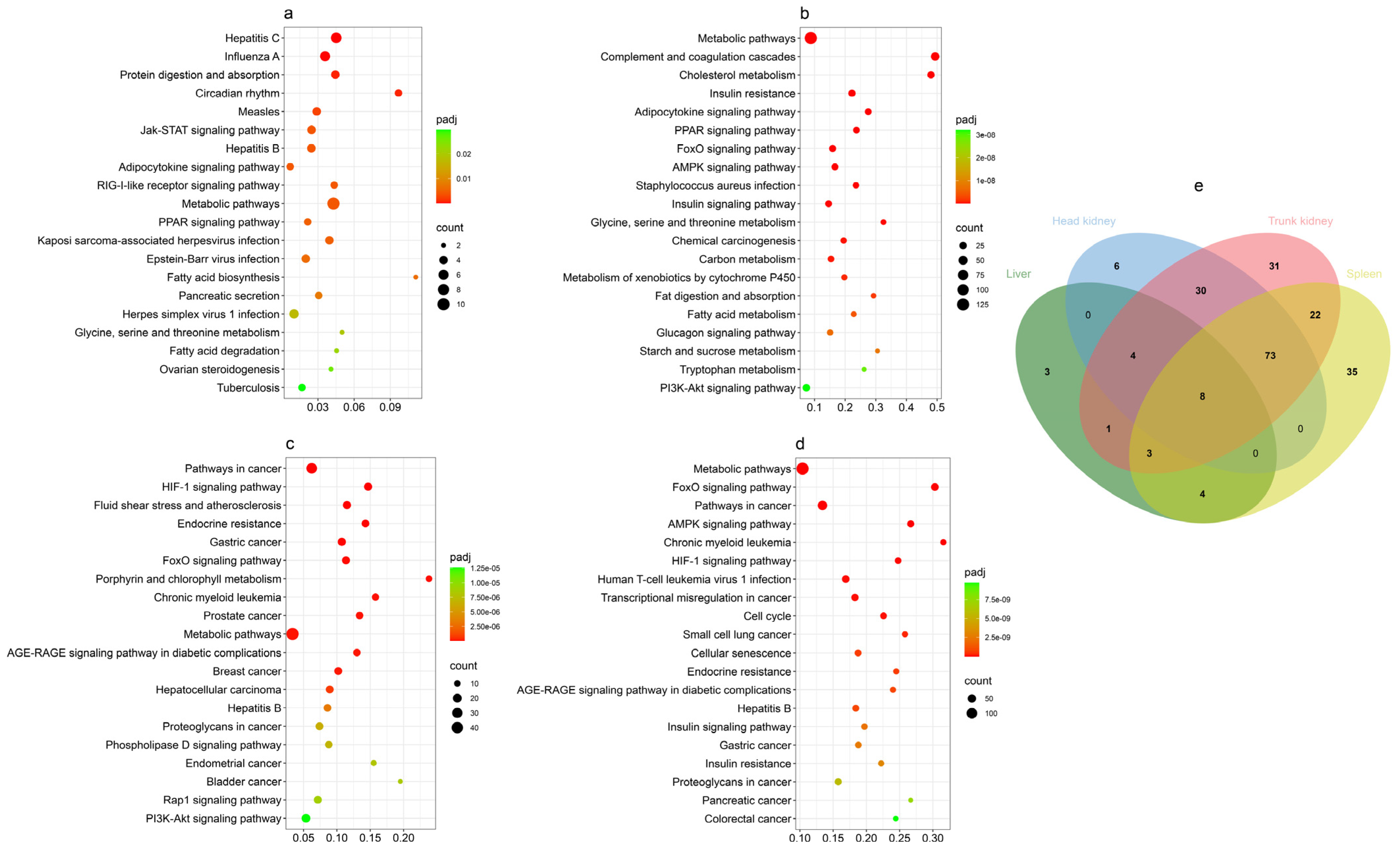 Biology 13 00214 g004