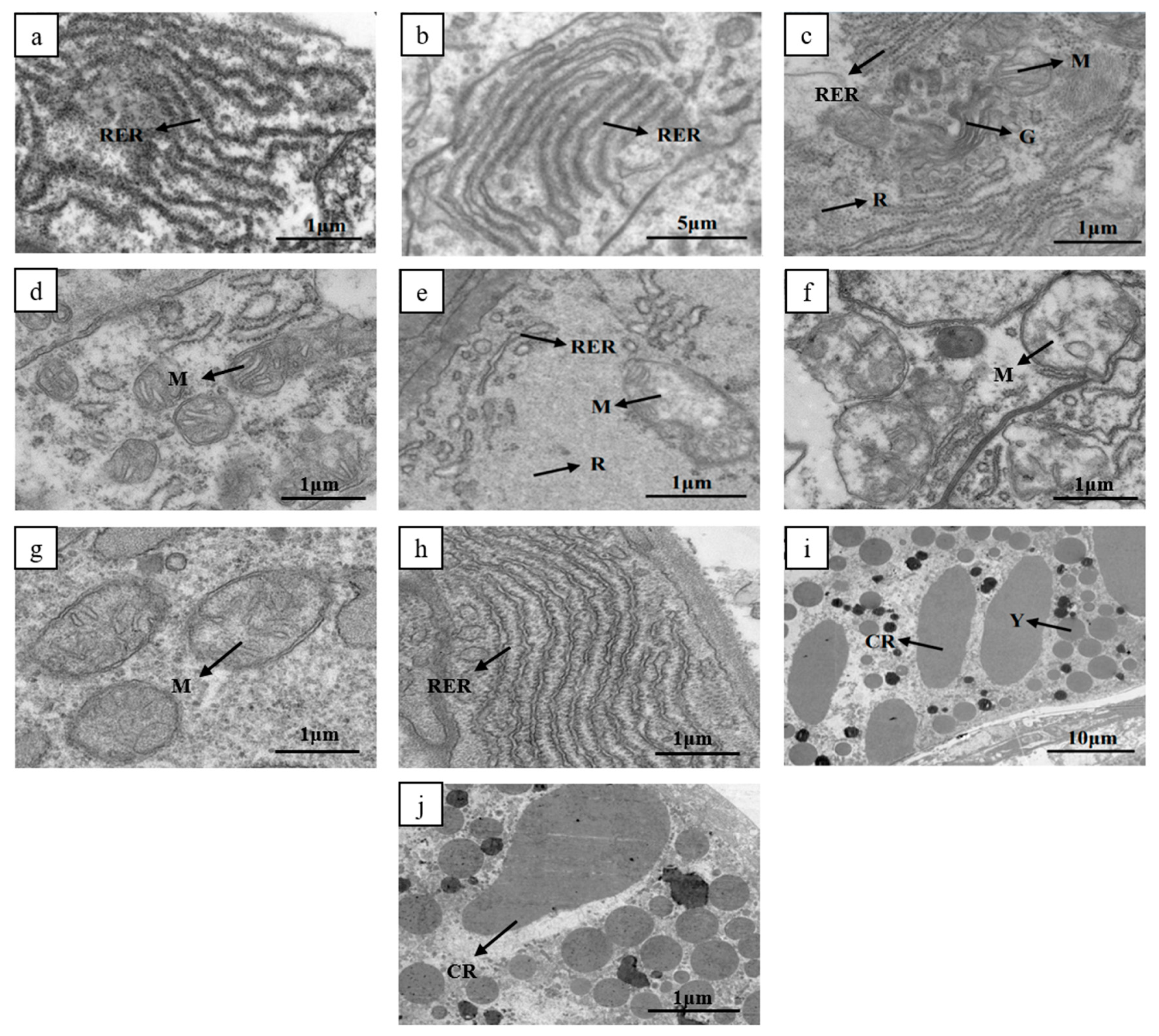 Biology 13 00218 g002