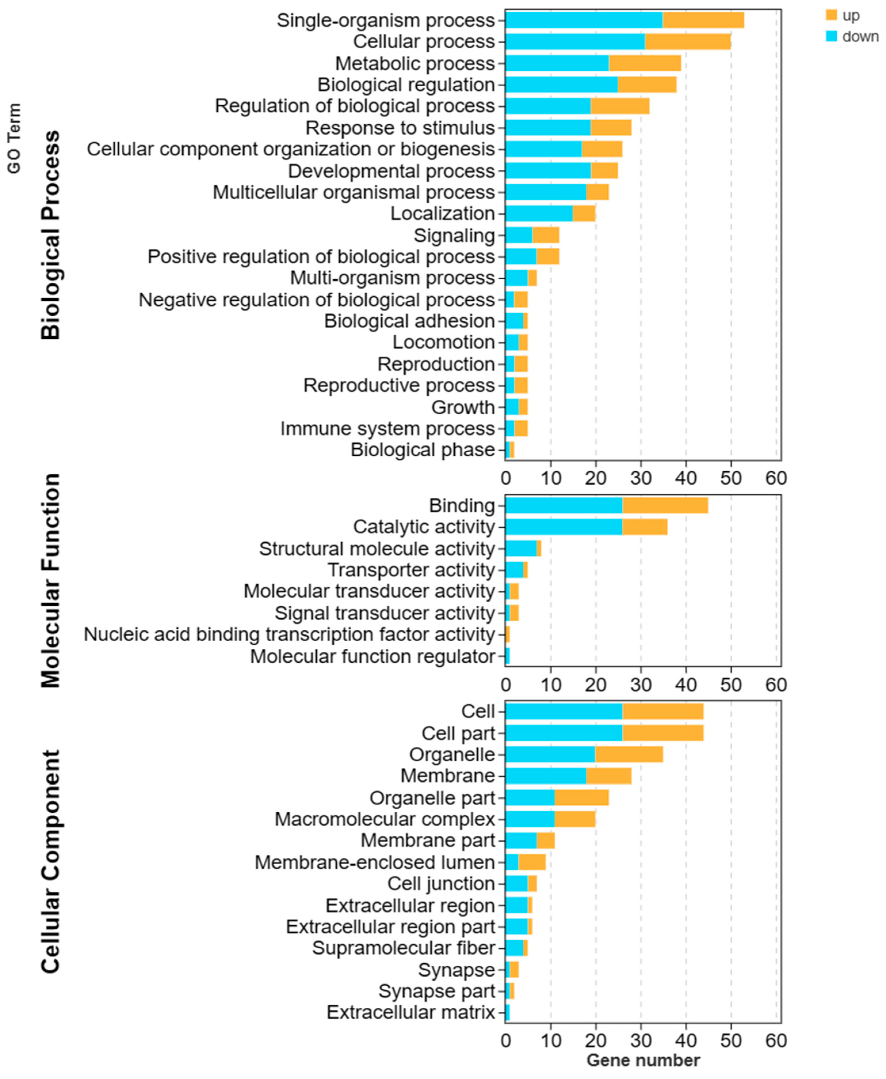 Biology 13 00218 g004