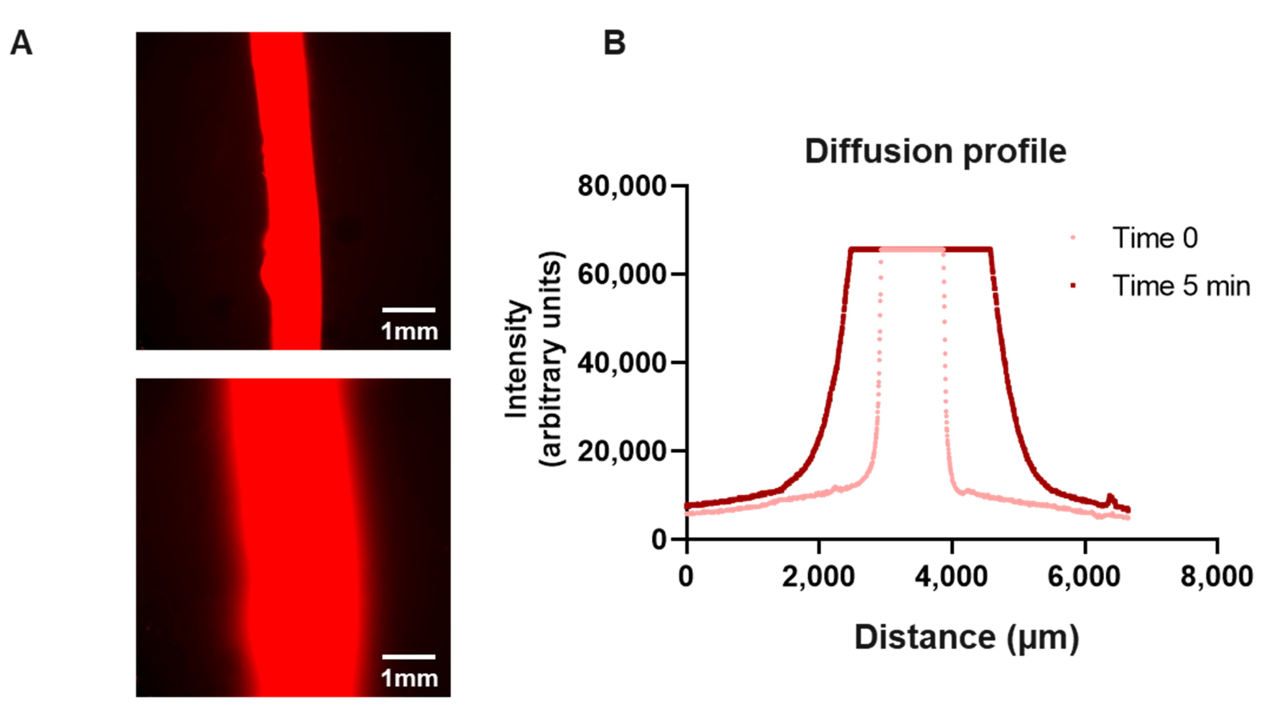 Biology 13 00221 g004