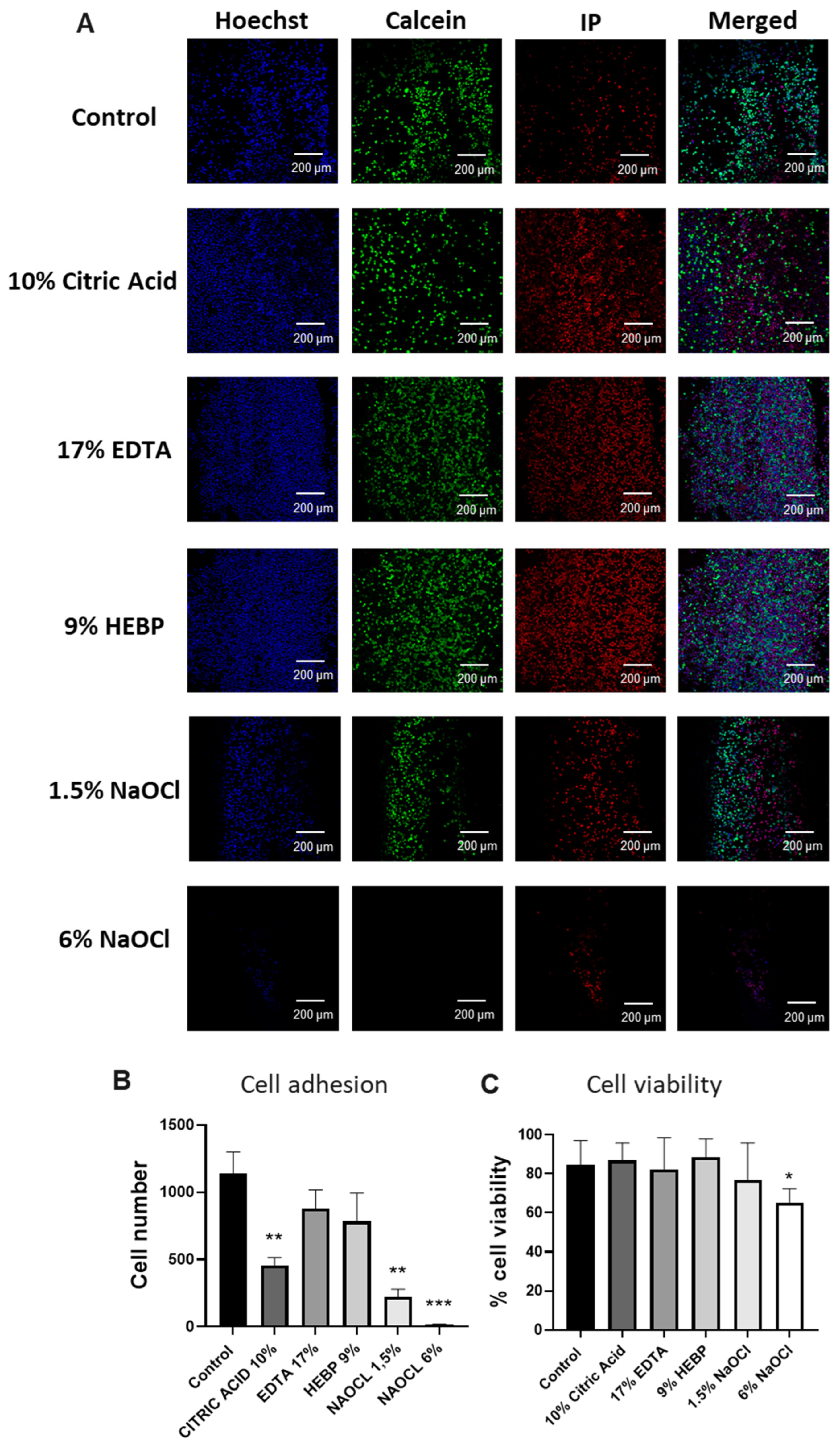 Biology 13 00221 g005