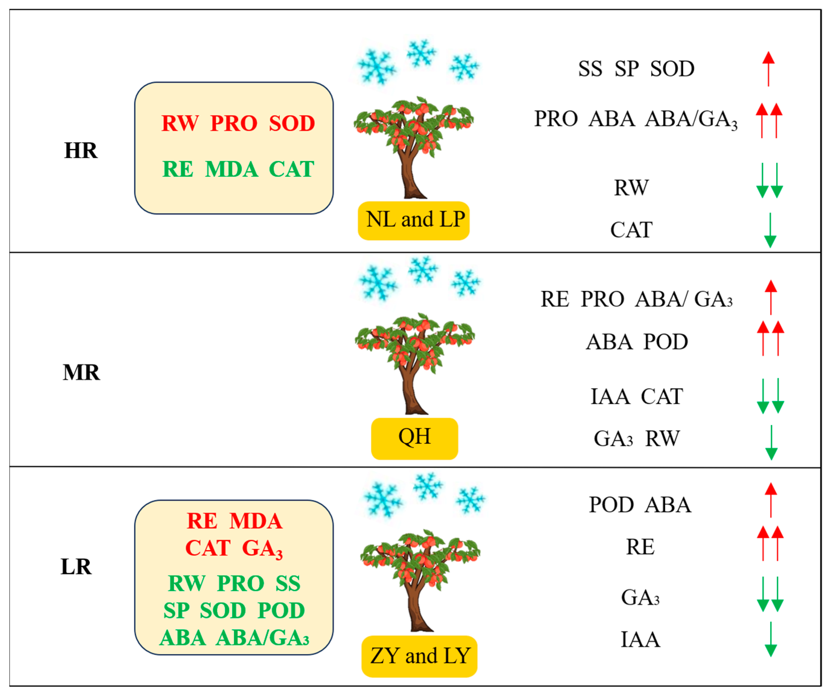 Biology 13 00222 g007