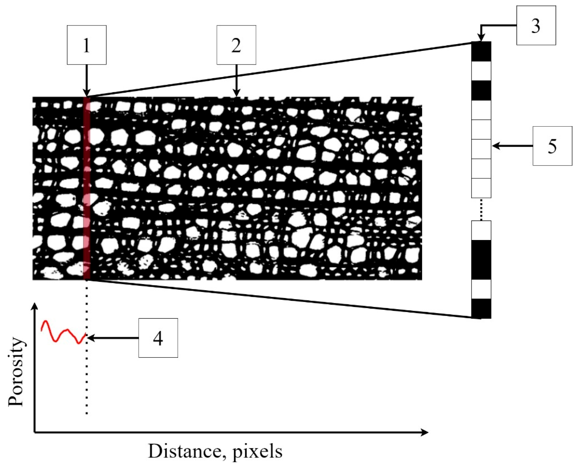 Biology 13 00223 g003