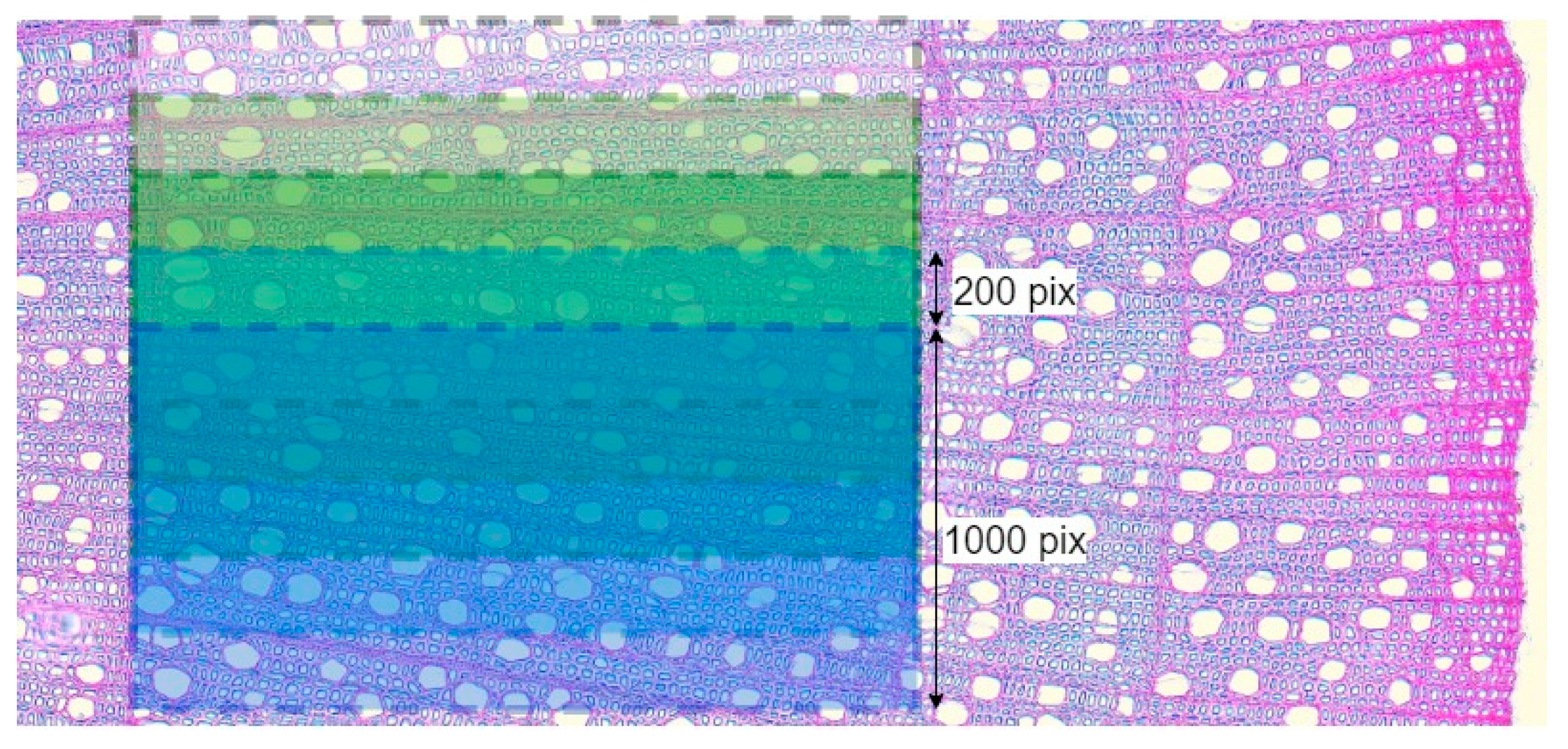 Biology 13 00223 g004