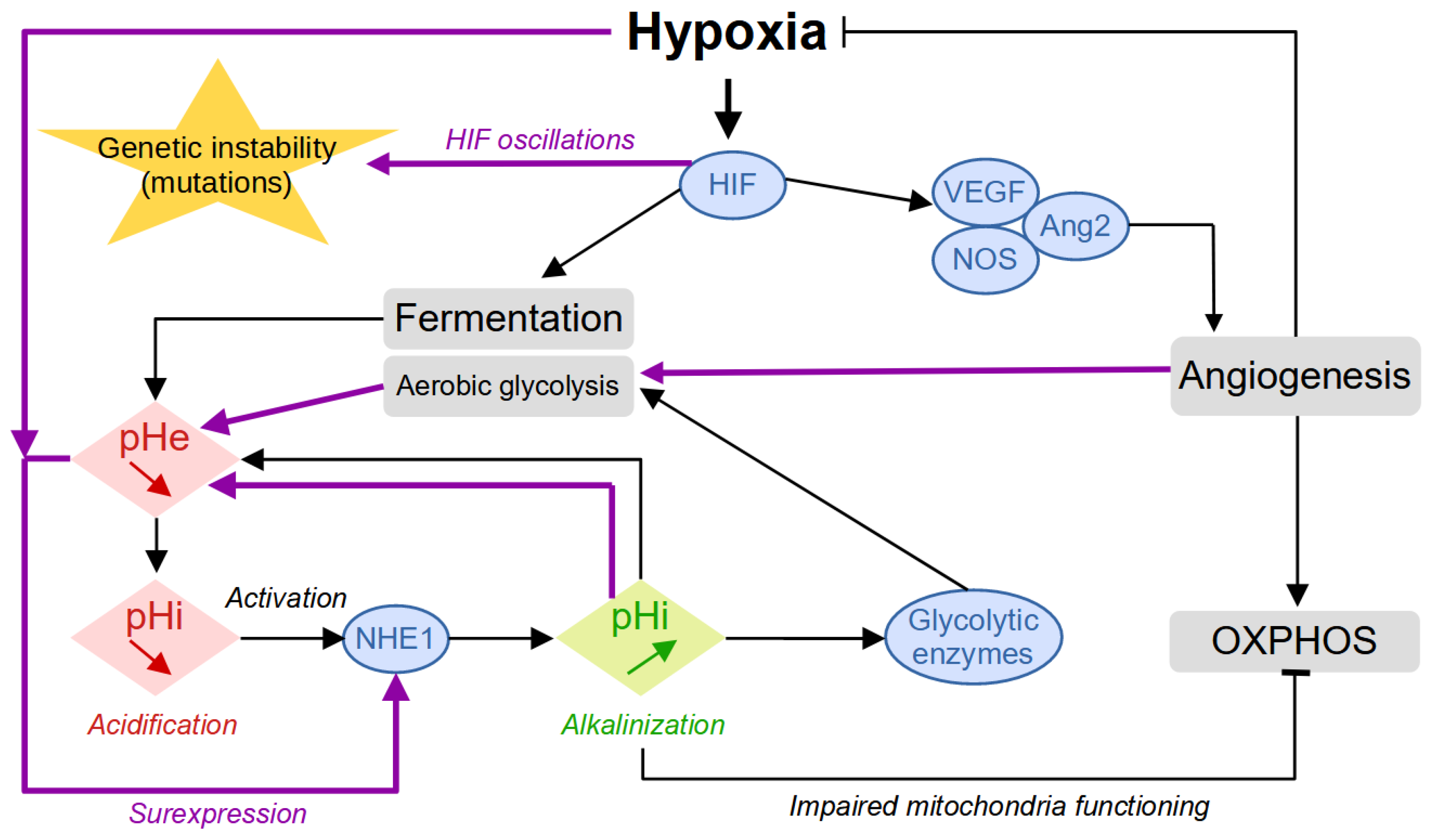 Biology 13 00225 g002