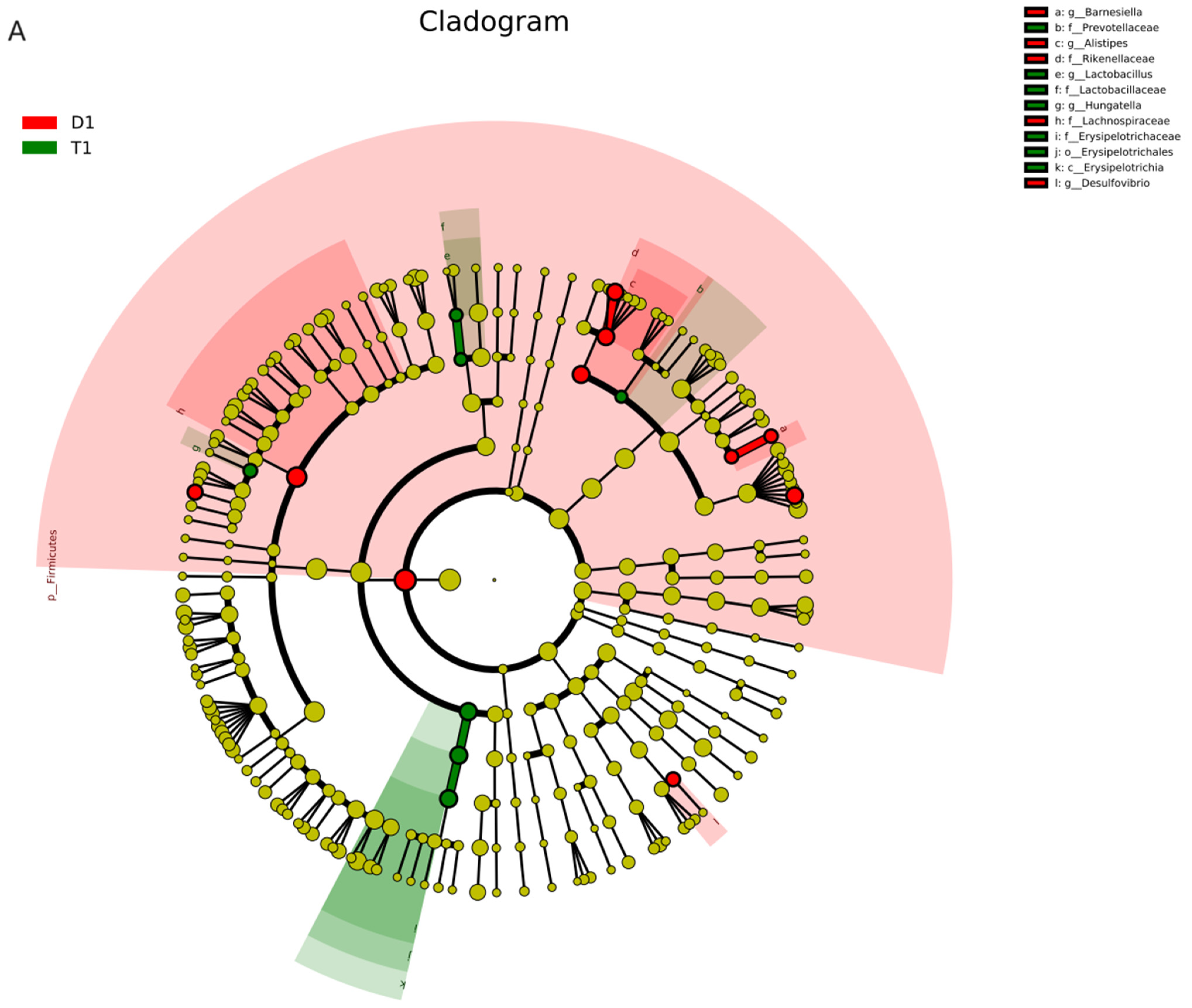 Biology 13 00230 g006a