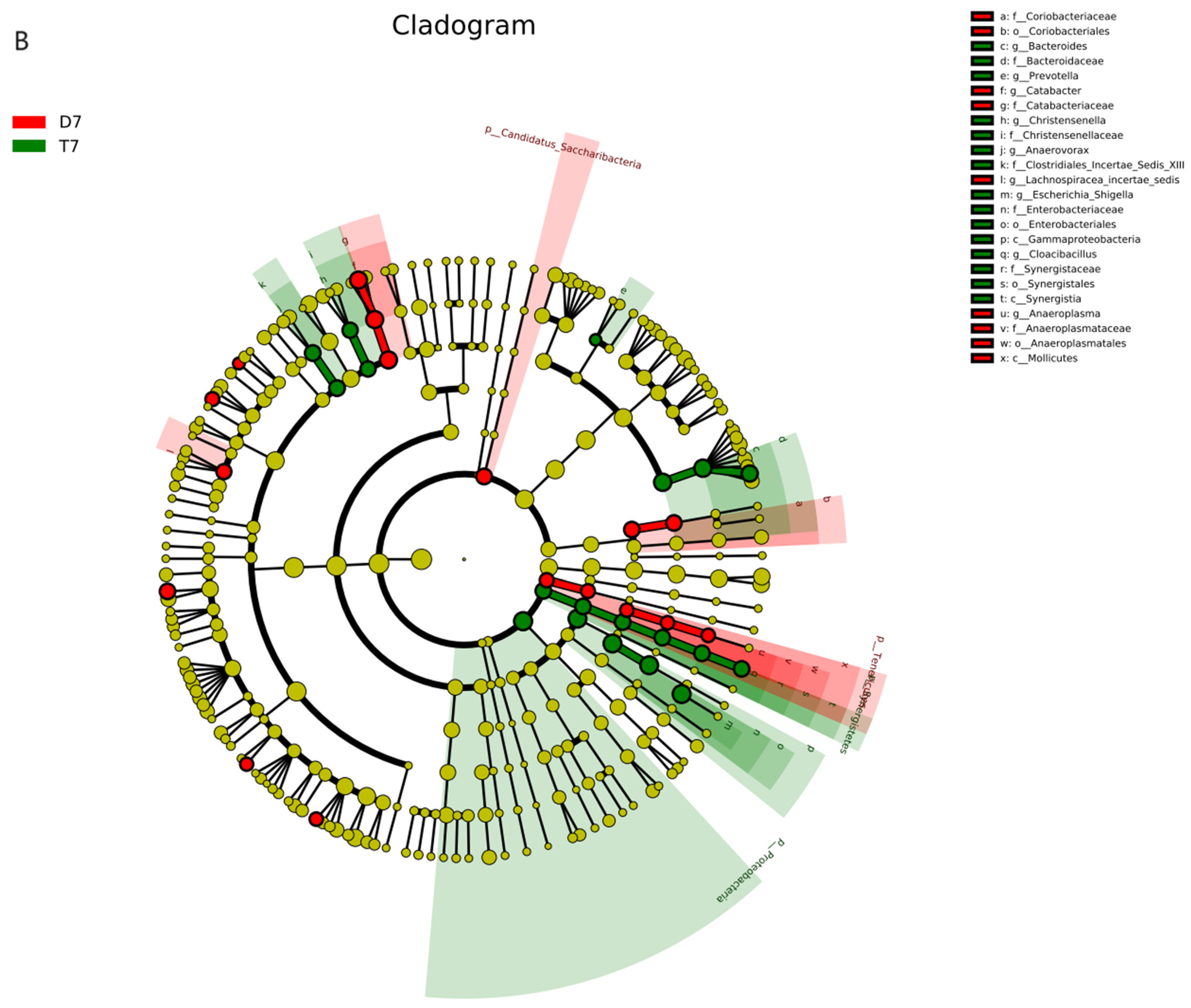 Biology 13 00230 g006b