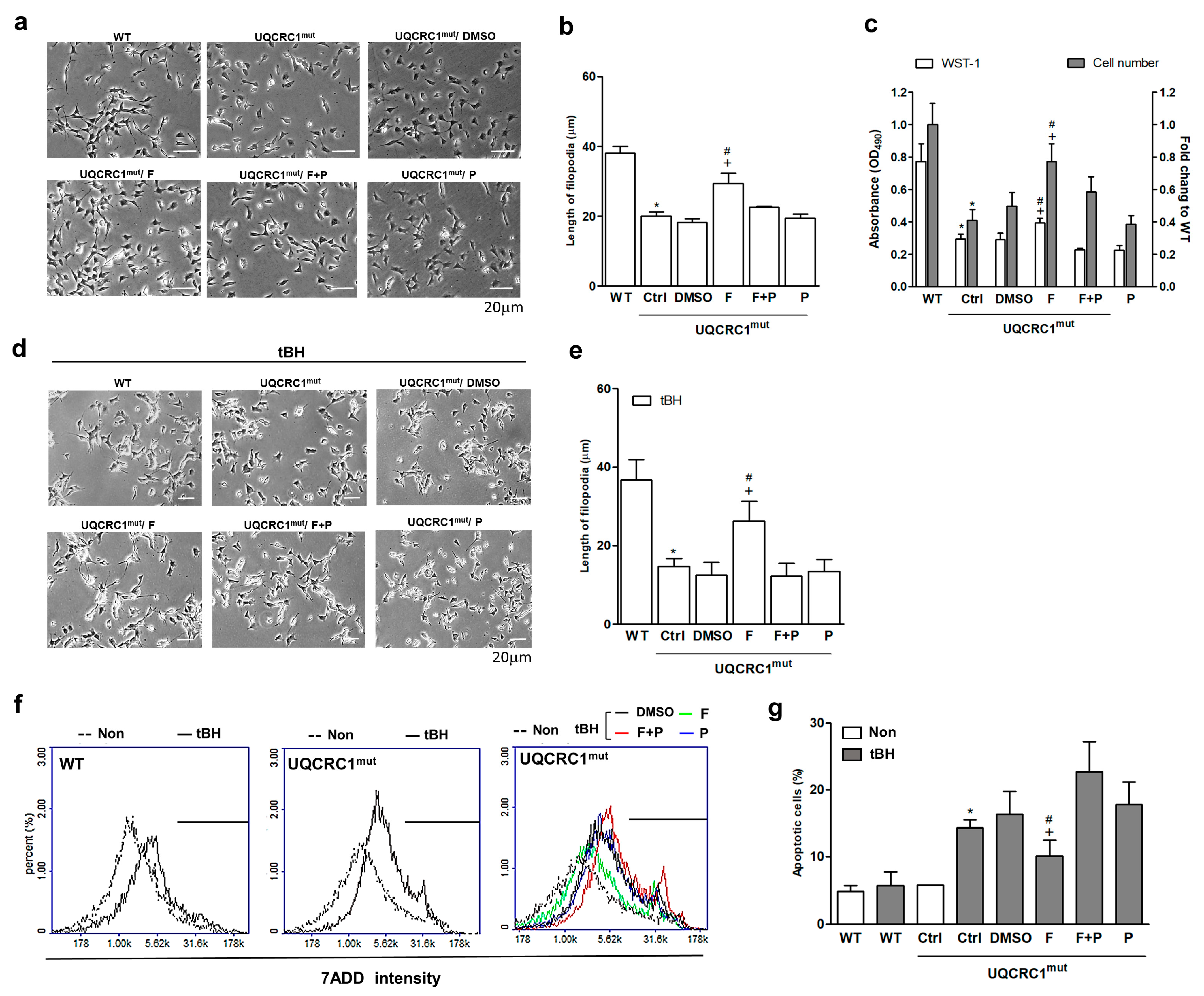 Biology 13 00231 g001