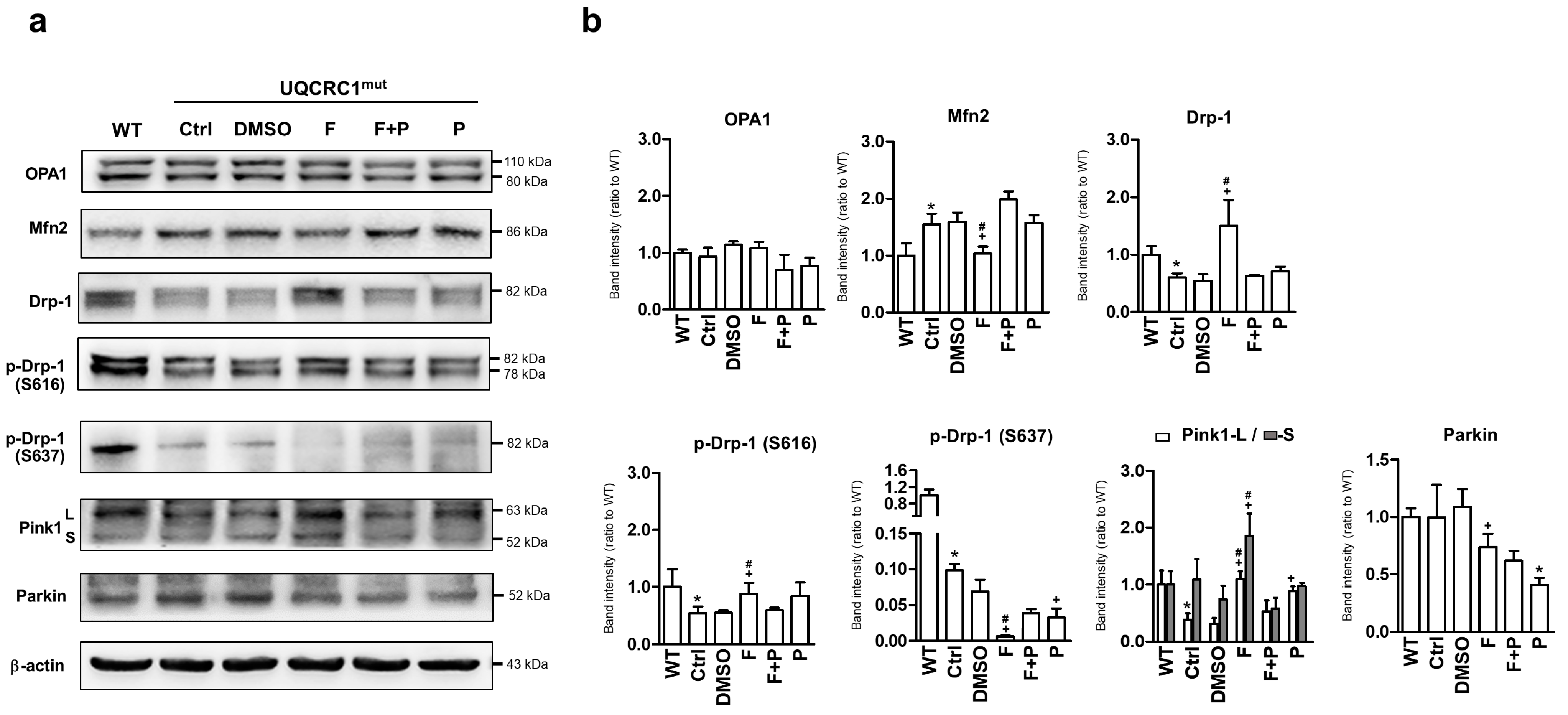 Biology 13 00231 g004
