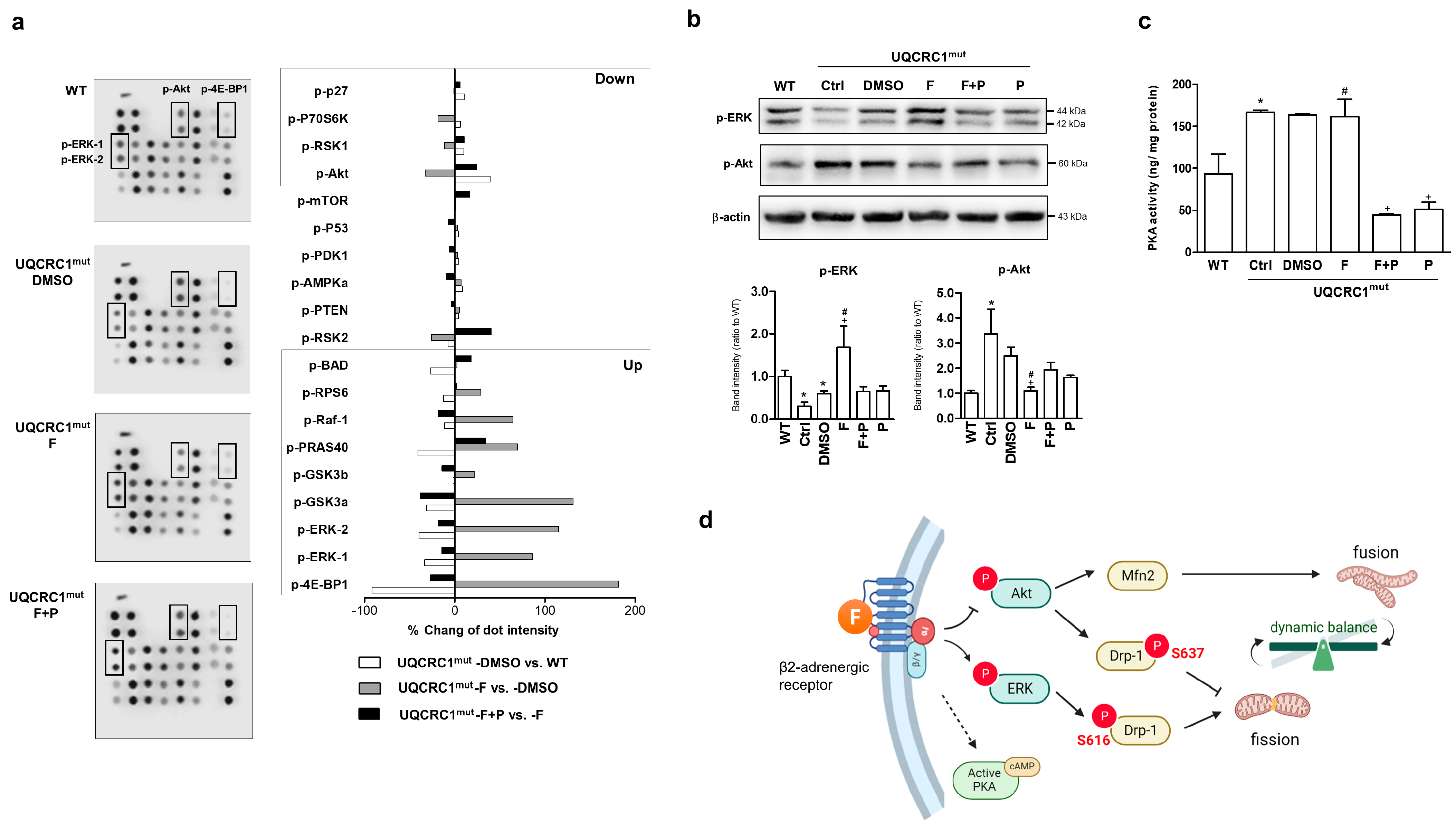 Biology 13 00231 g005