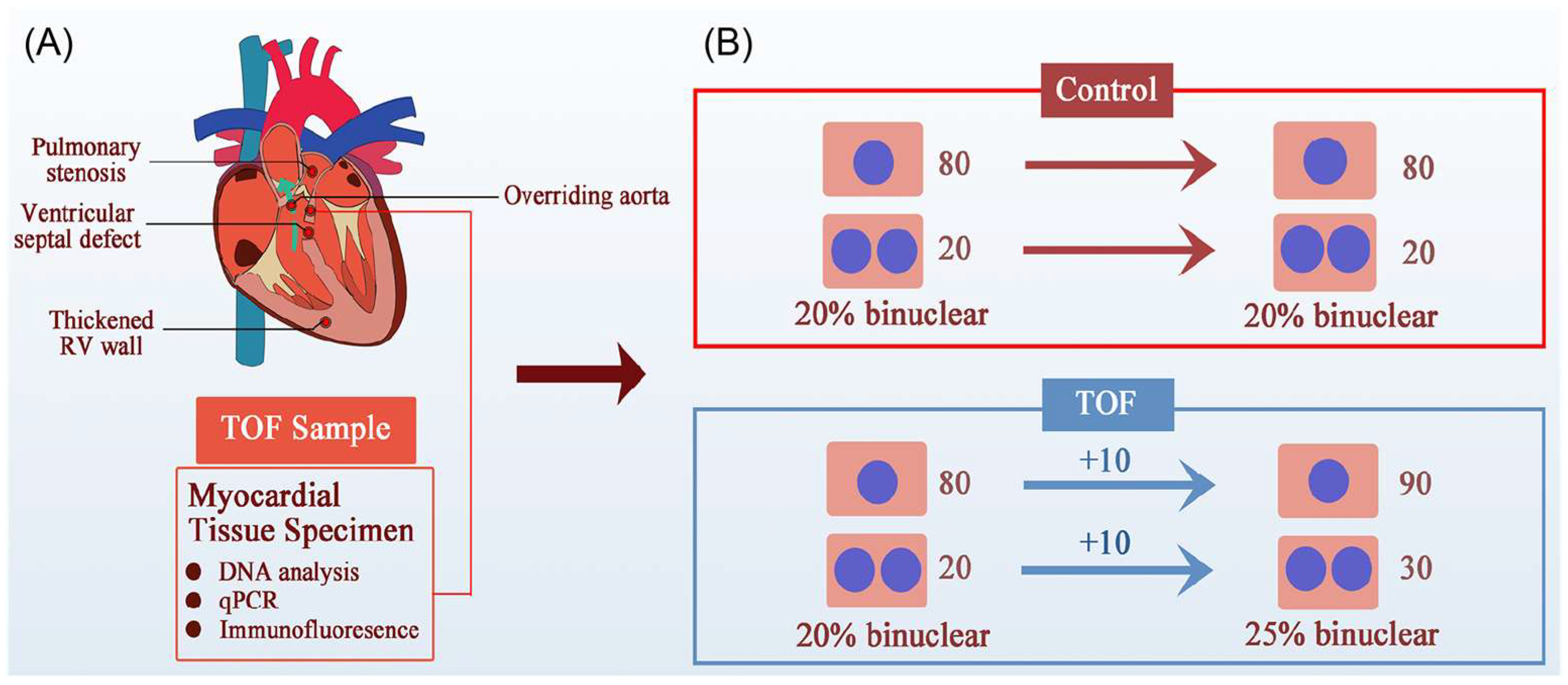 Biology 13 00234 g004
