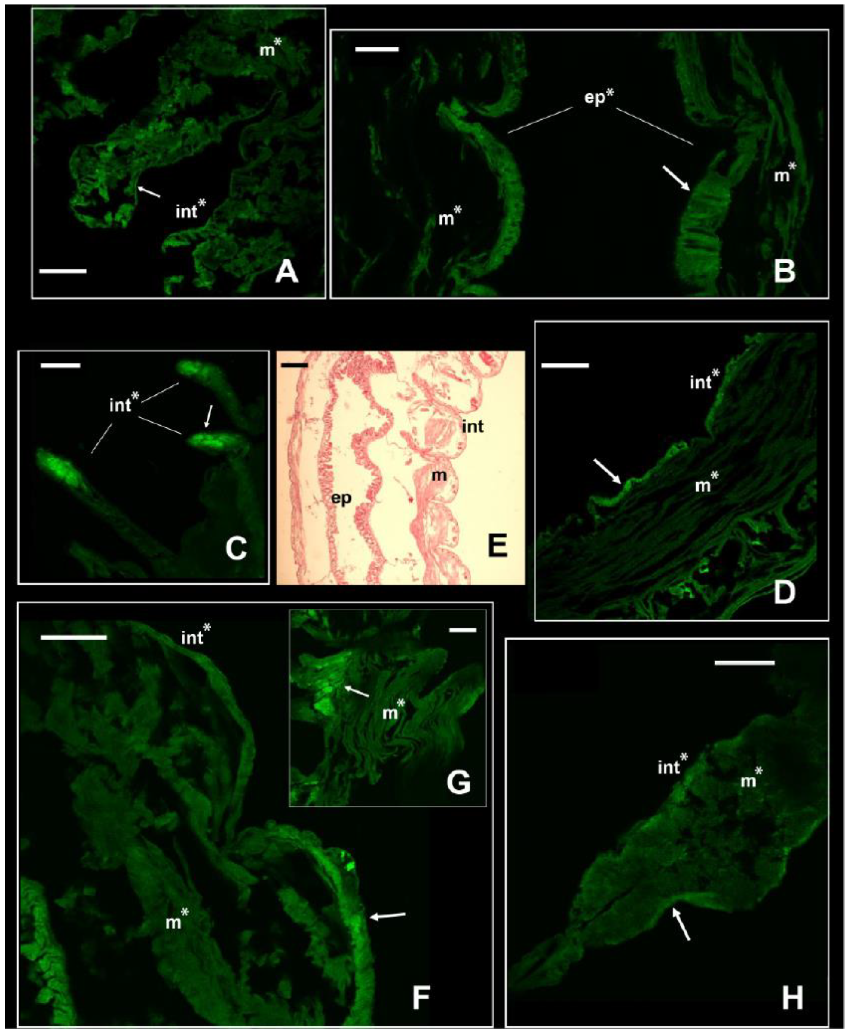 Biology 13 00235 g003 Biology 13 00235 g003