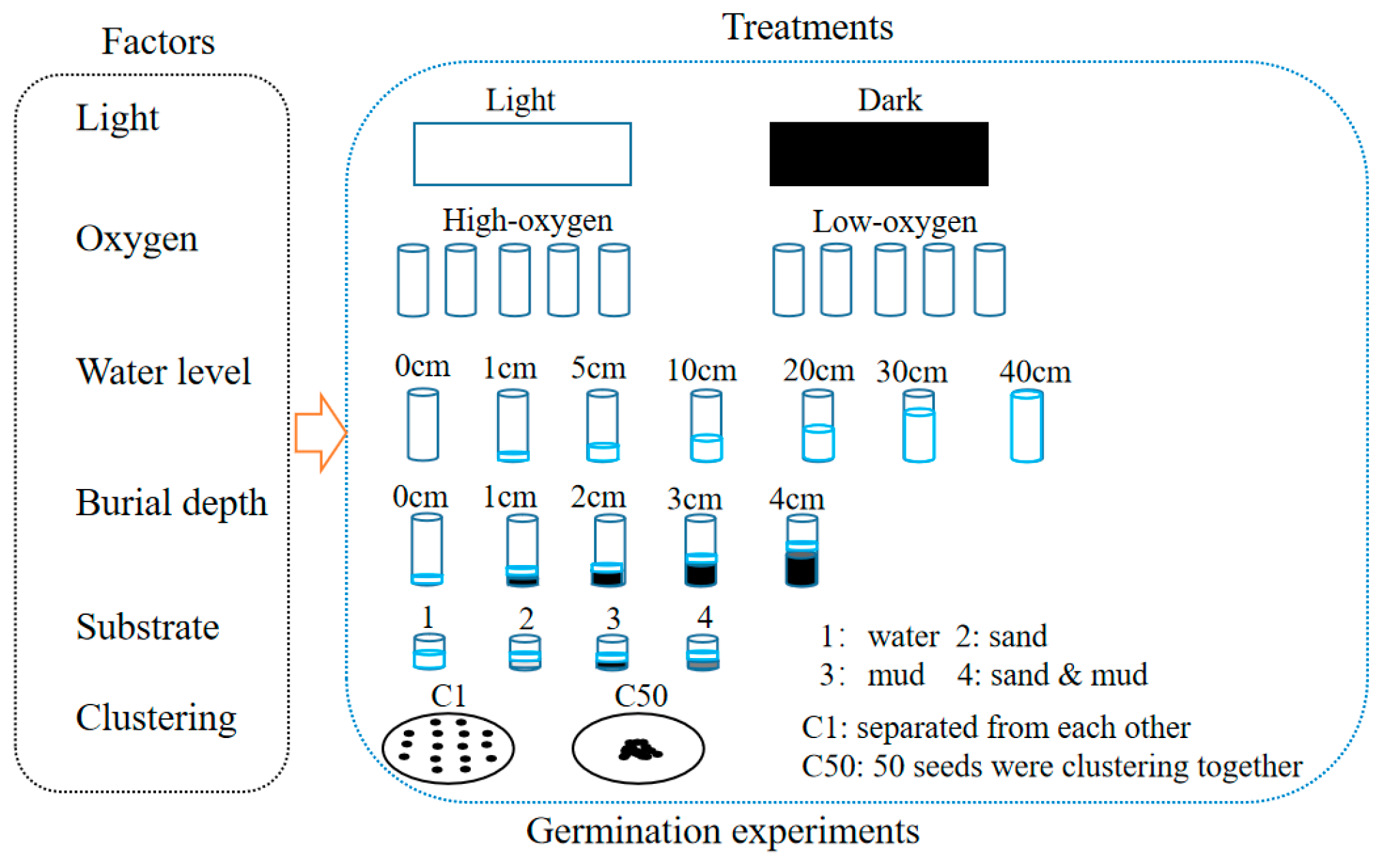 Biology 13 00246 g002