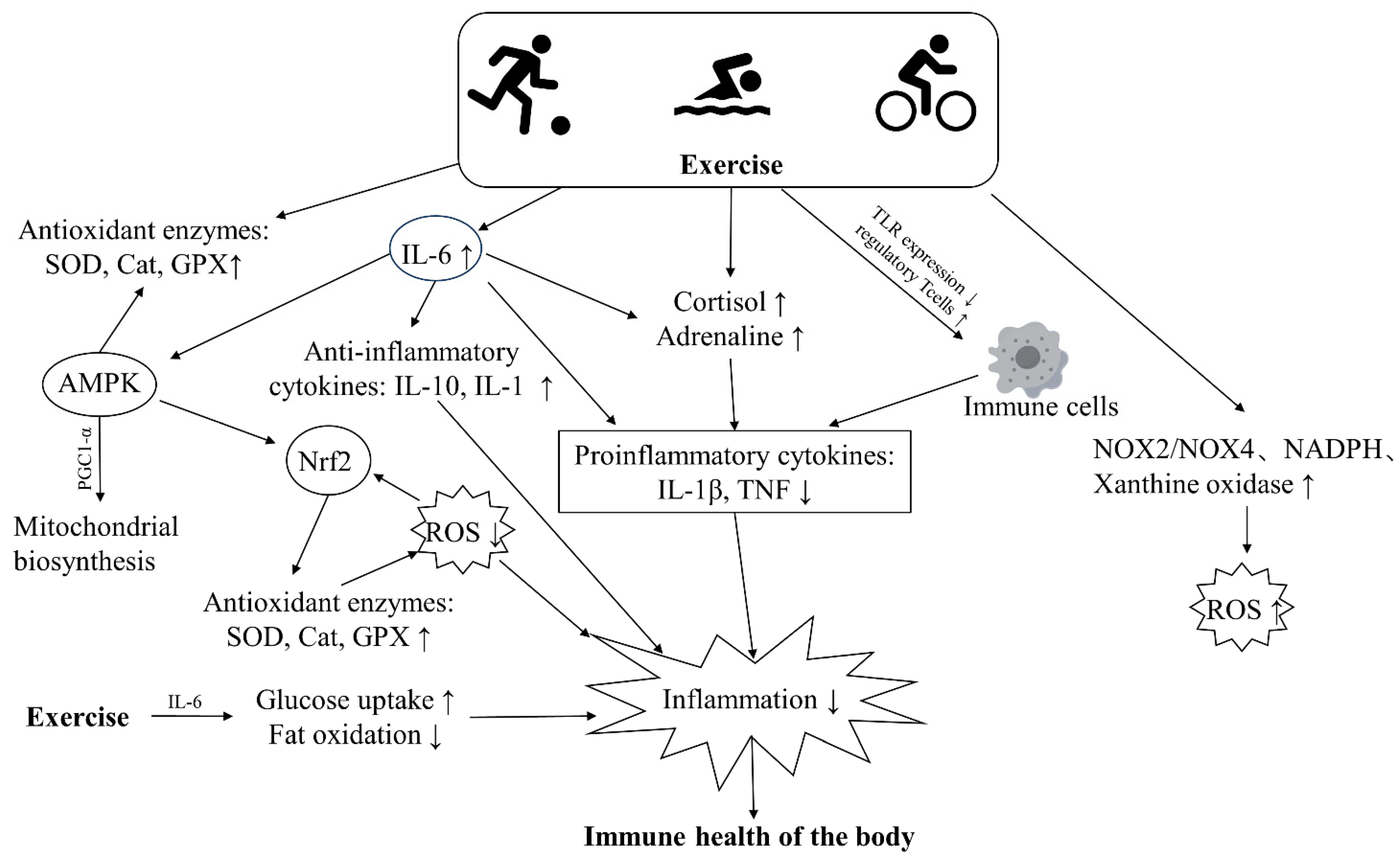 Biology 13 00247 g003