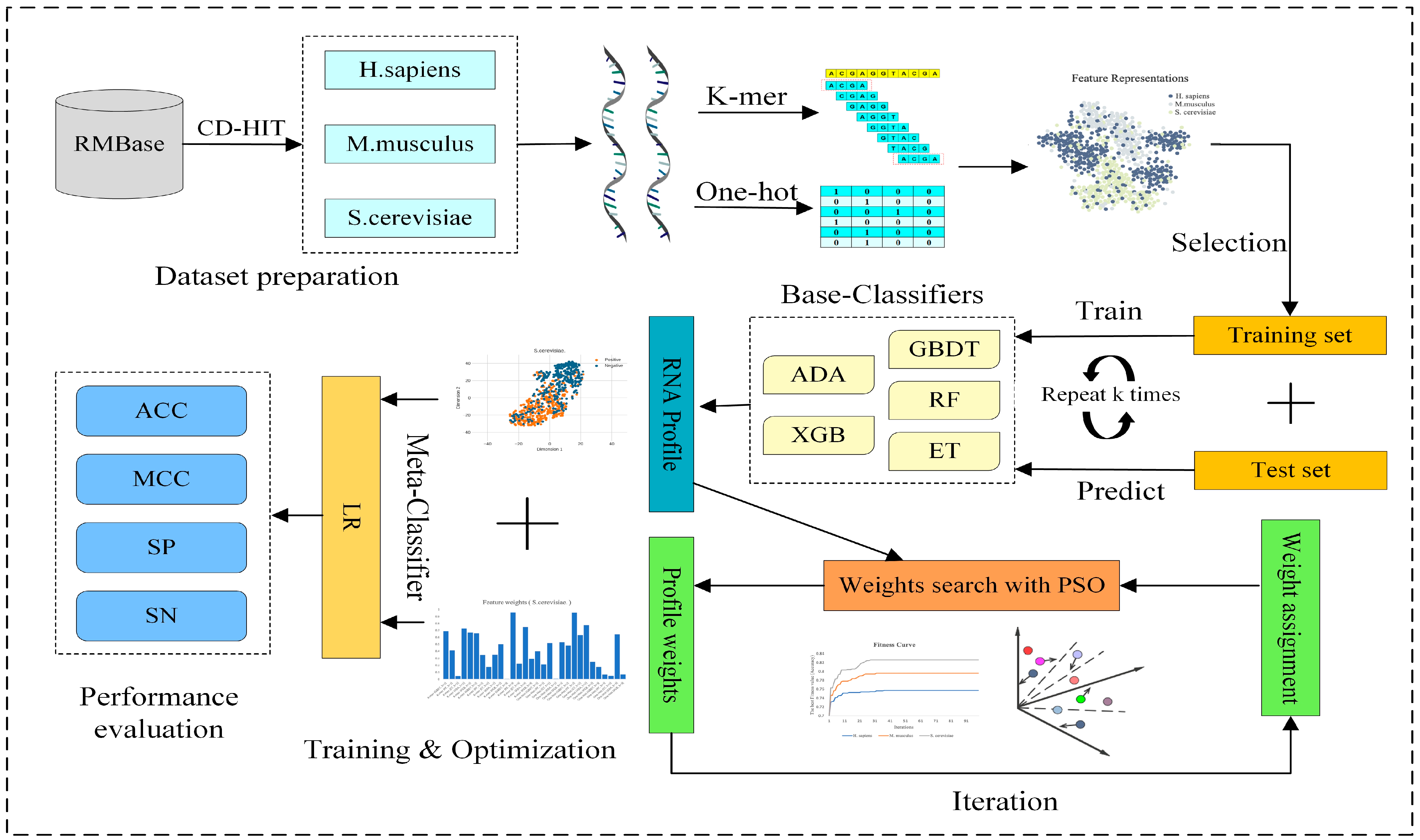 Biology 13 00248 g001