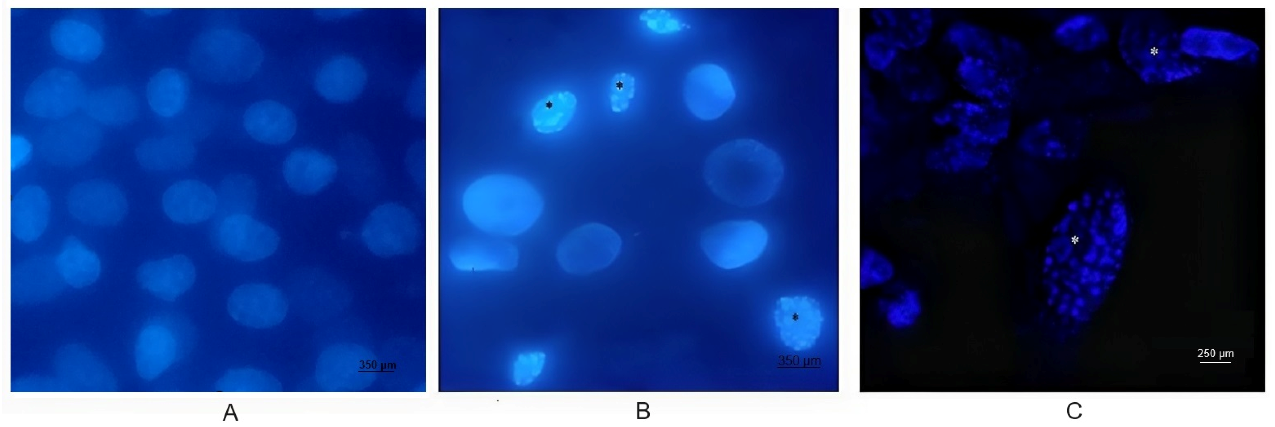 Biology 13 00249 g002 Biology 13 00249 g002