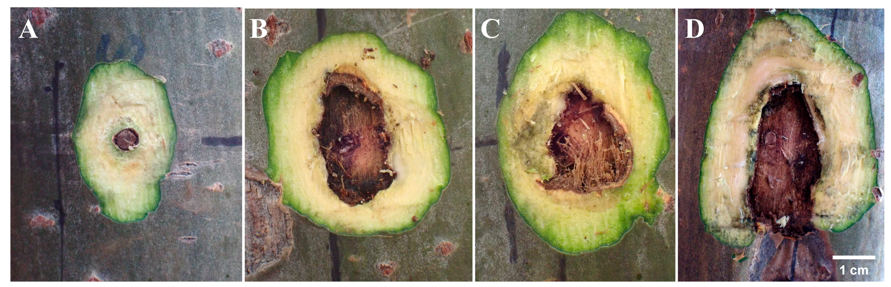 Biology 13 00251 g003
