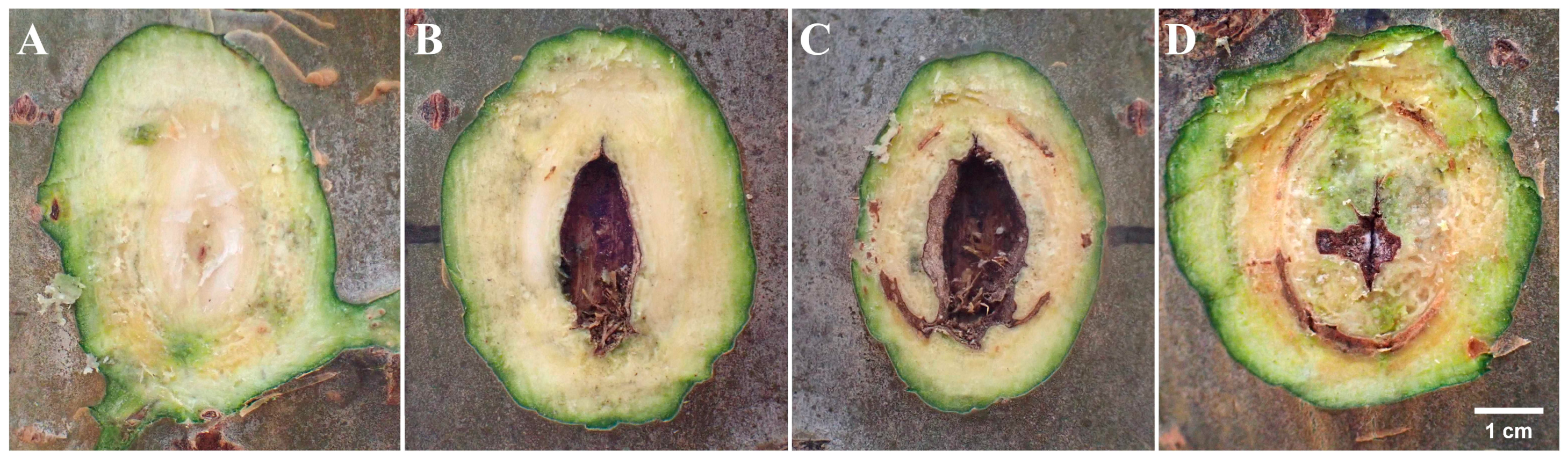 Biology 13 00251 g004