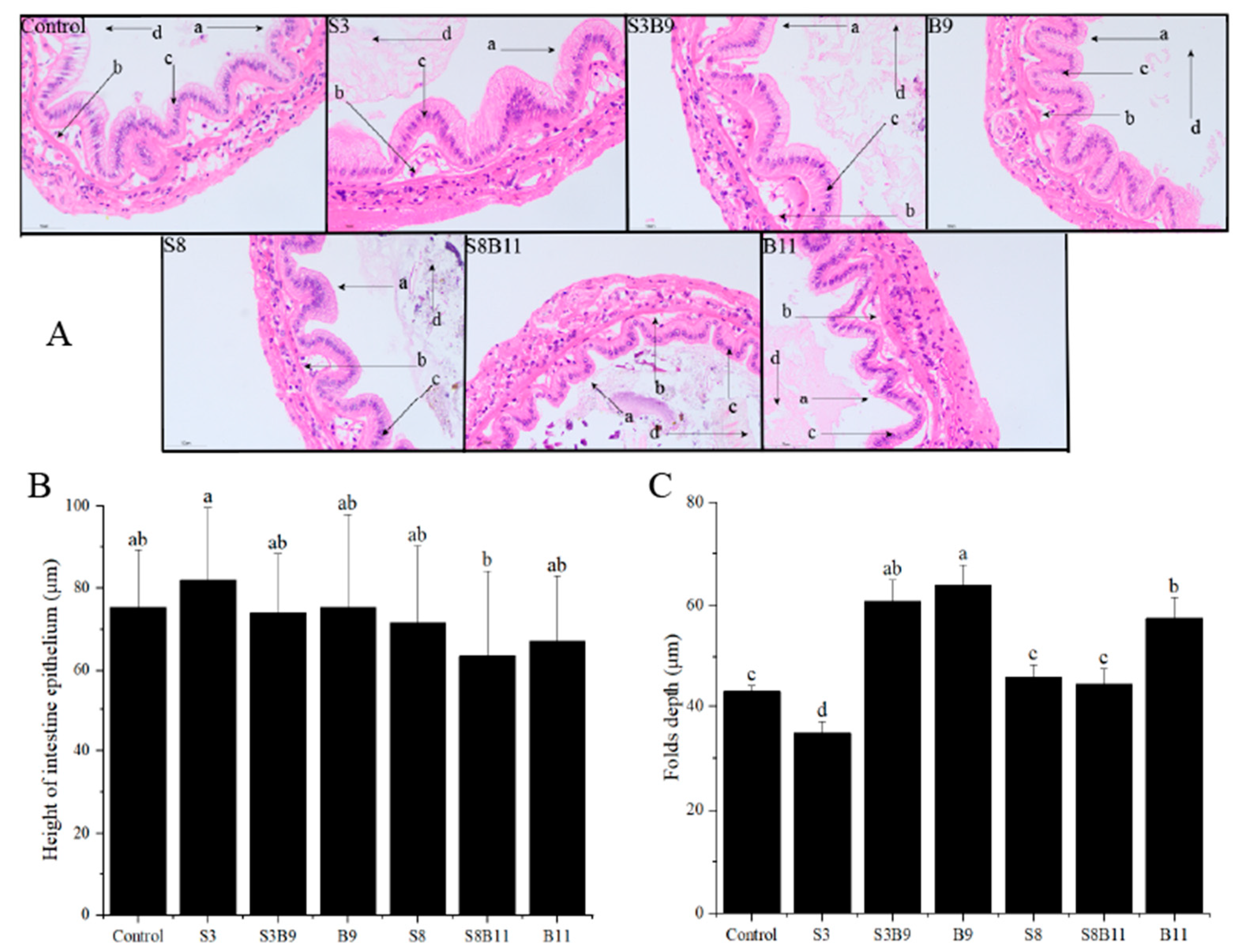 Biology 13 00252 g004