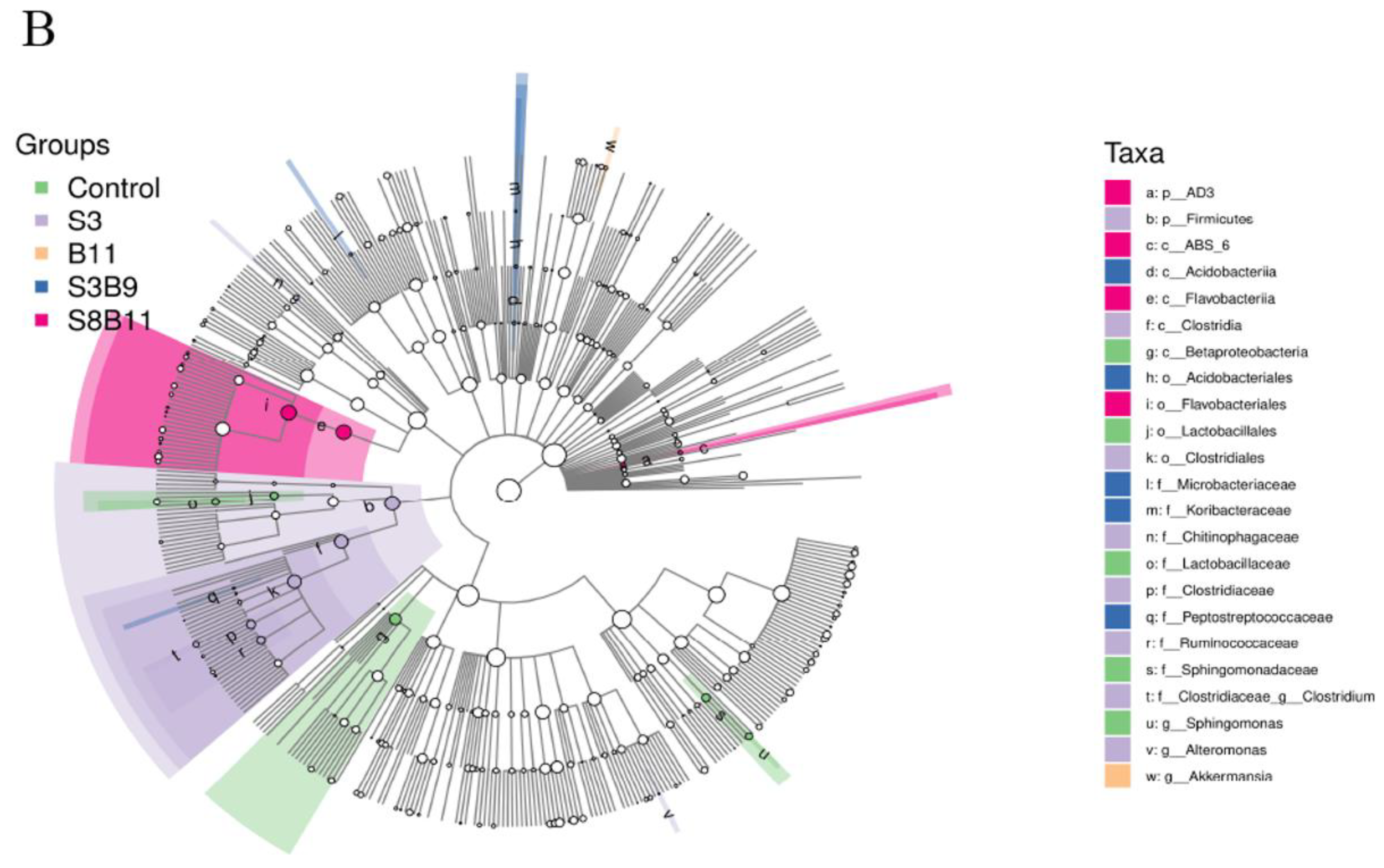 Biology 13 00252 g008b