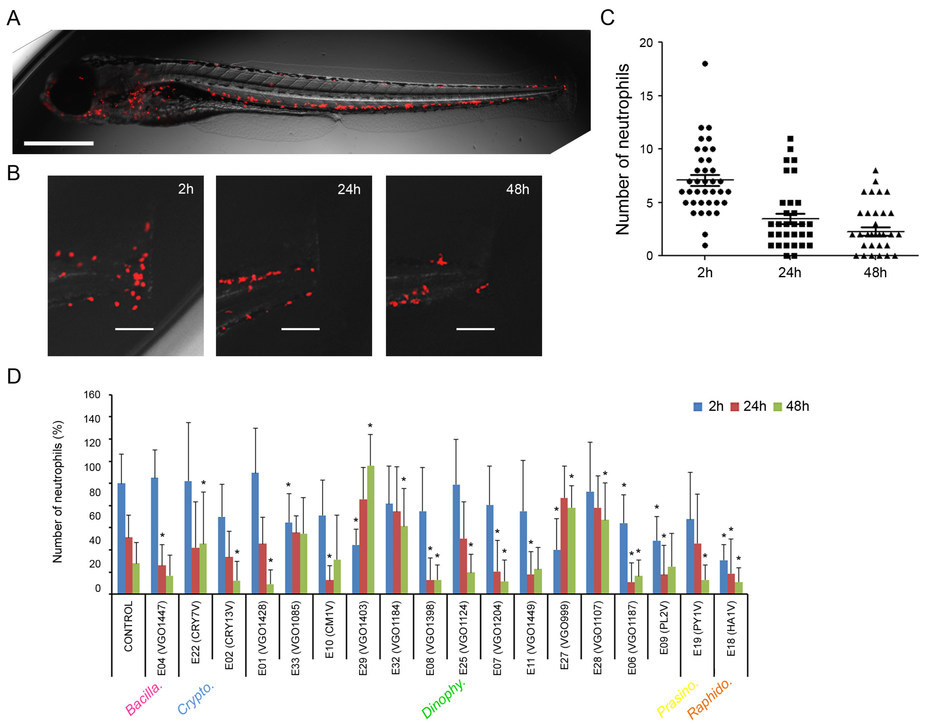 Biology 13 00255 g004