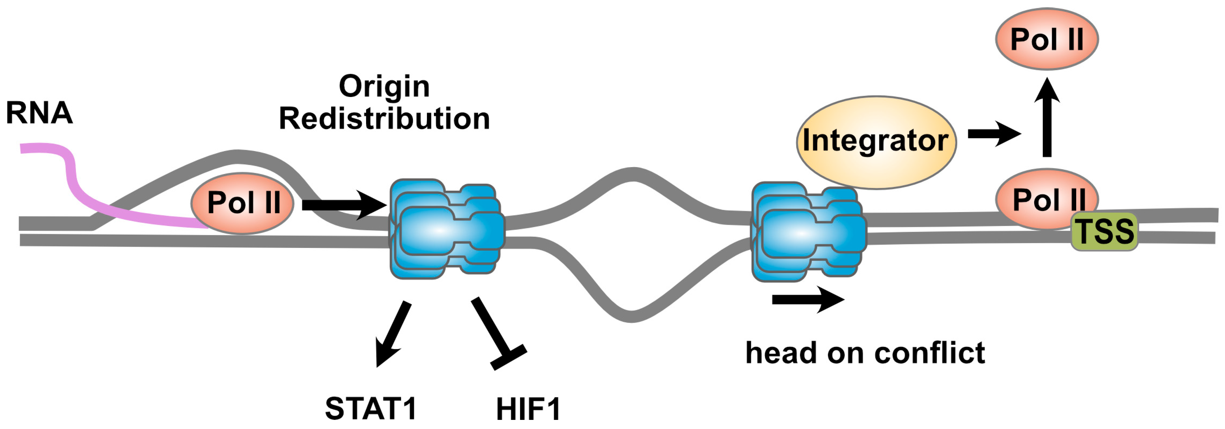 Biology 13 00258 g002 Biology 13 00258 g002
