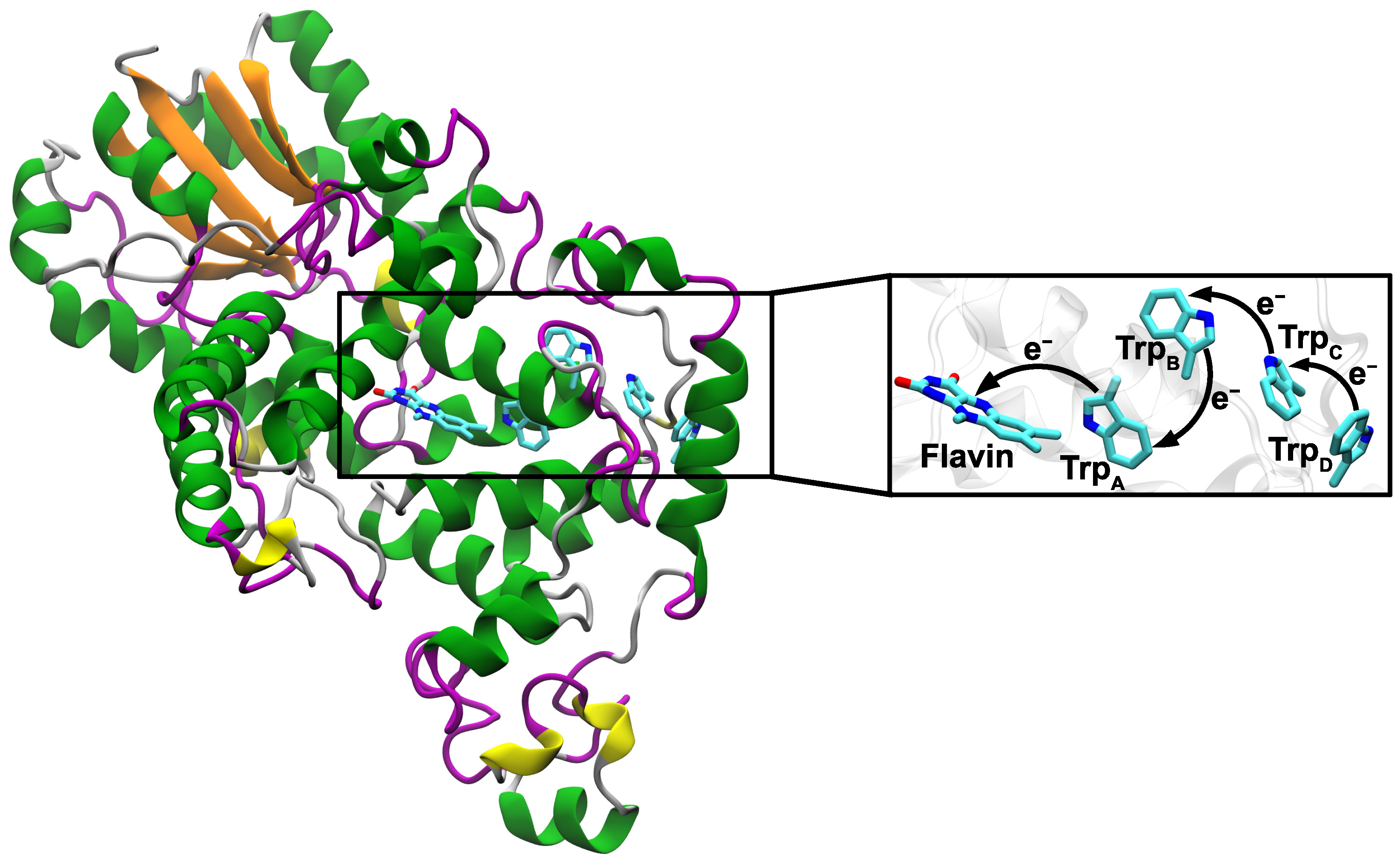 Biology 13 00262 g001