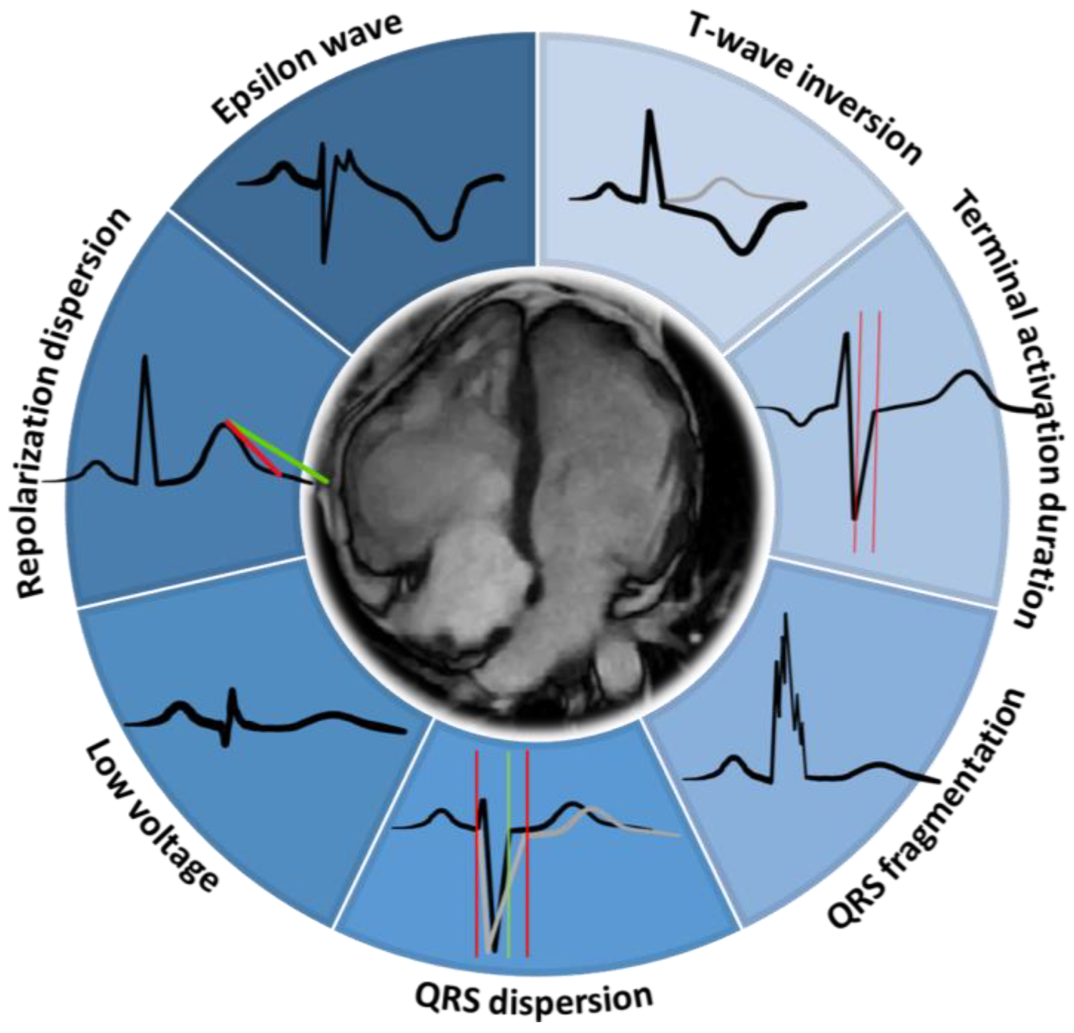 Biology 13 00265 g002