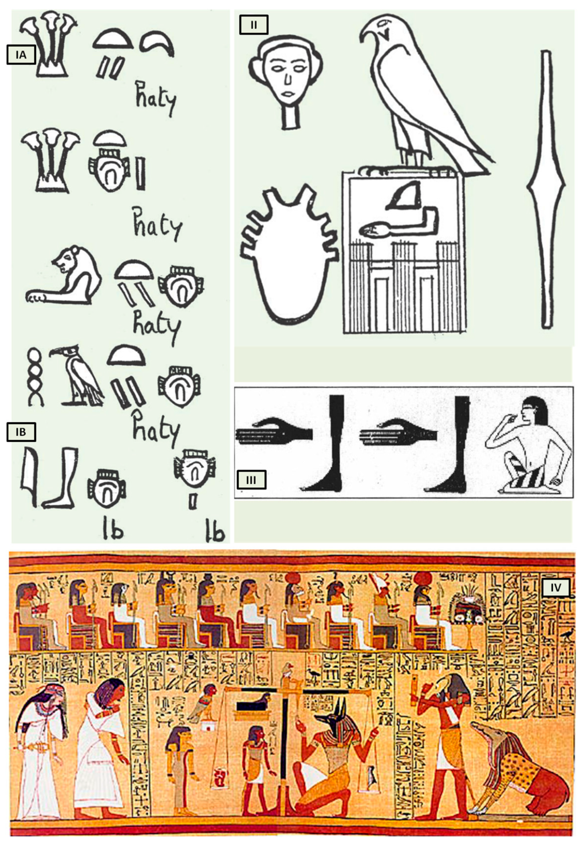 Biology 13 00266 g001