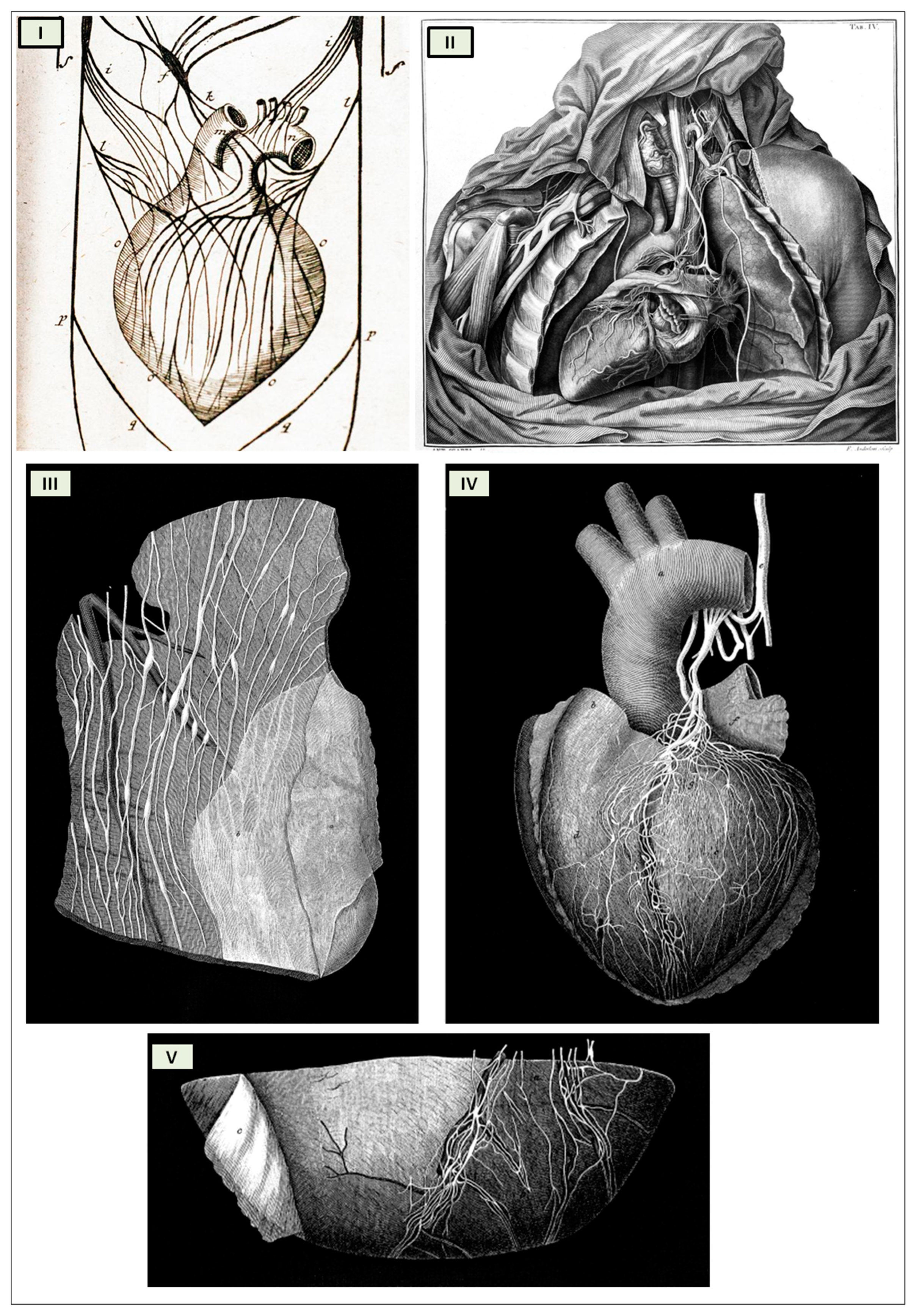 Biology 13 00266 g004