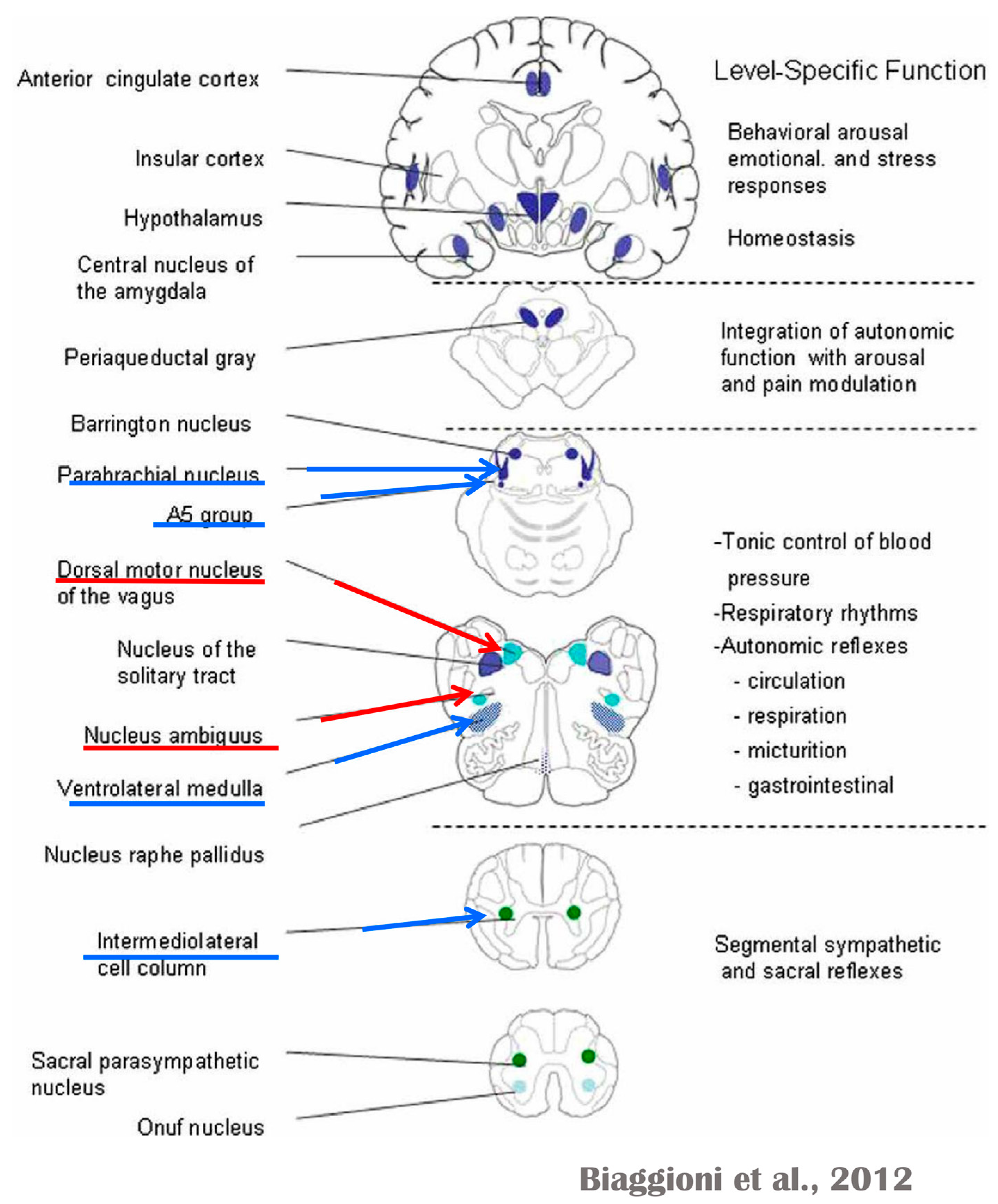 Biology 13 00266 g006