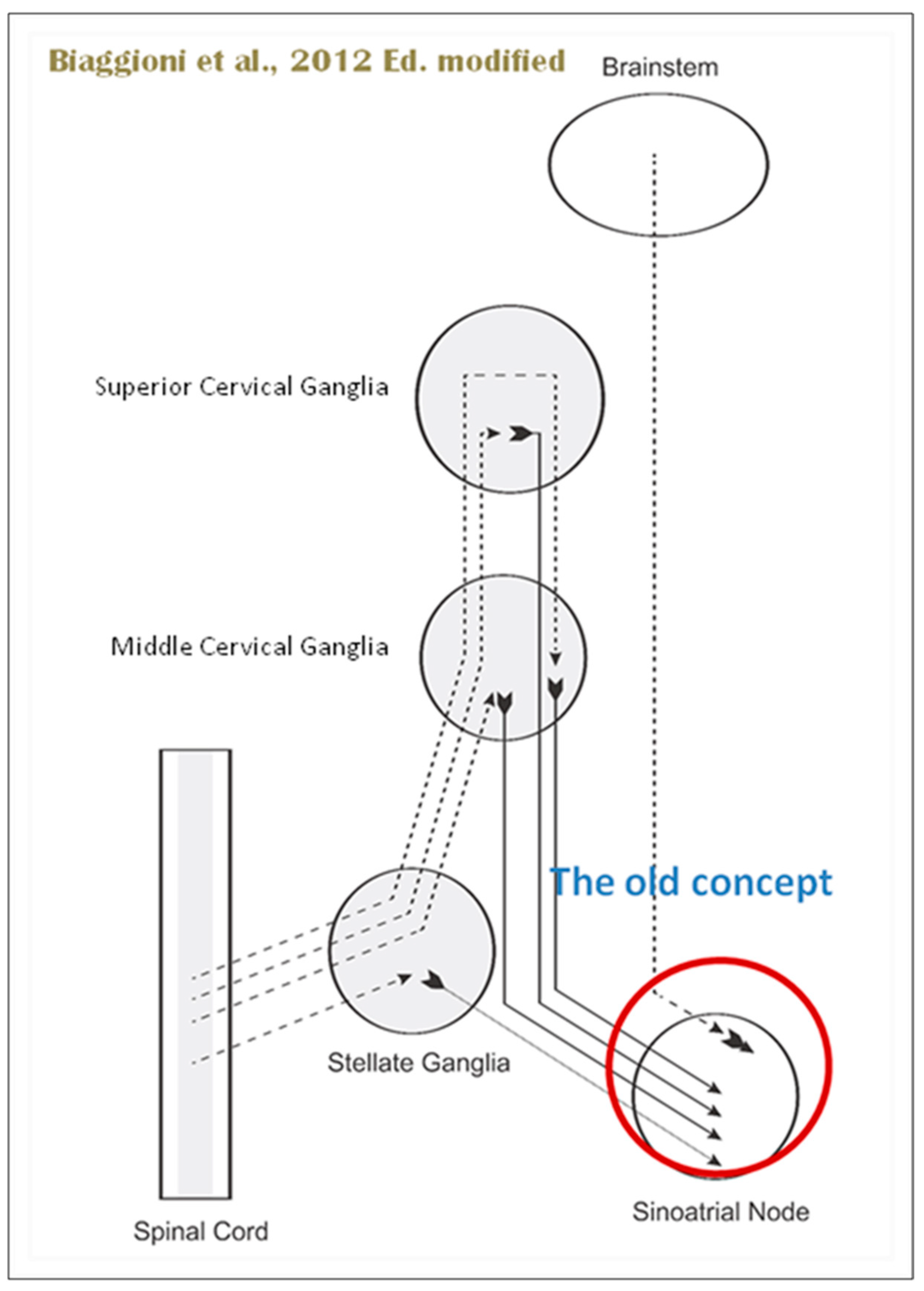 Biology 13 00266 g010