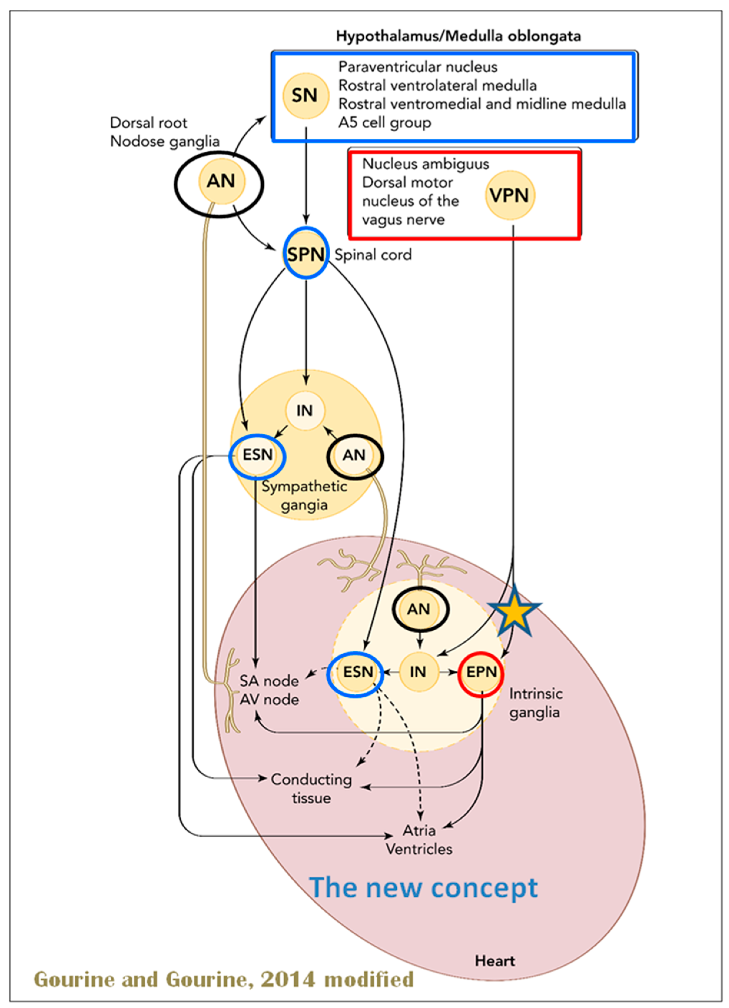 Biology 13 00266 g011