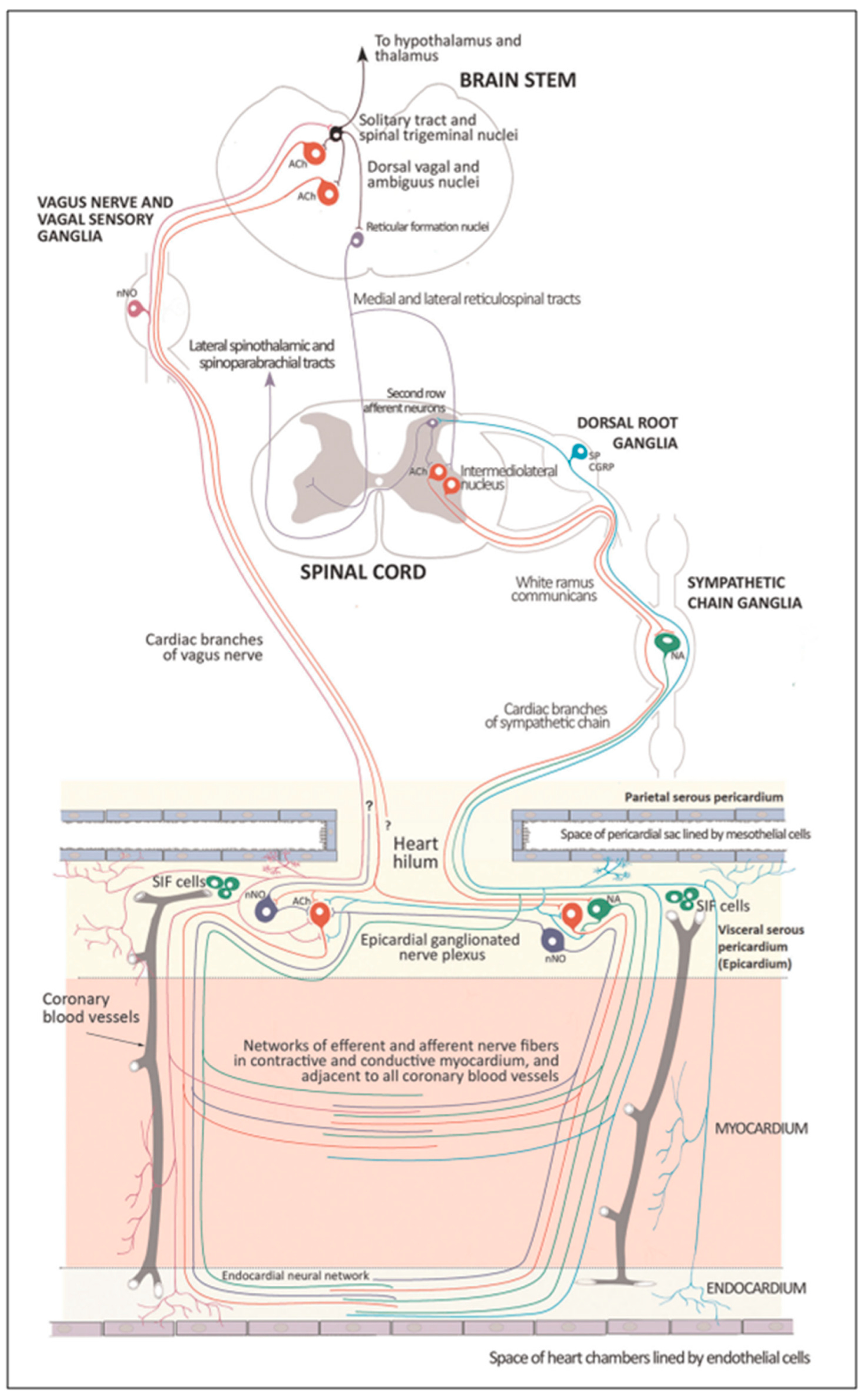 Biology 13 00266 g014