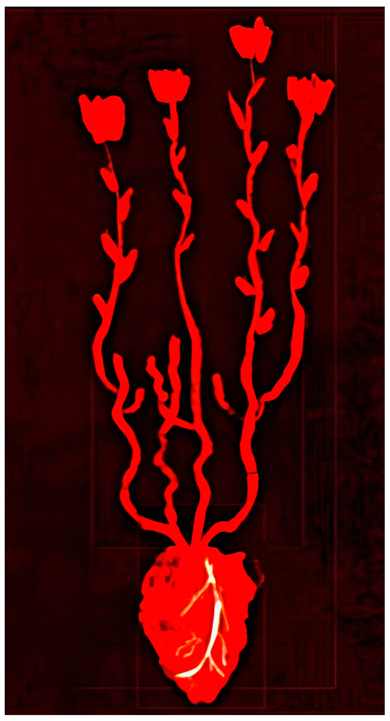 Biology 13 00266 g015