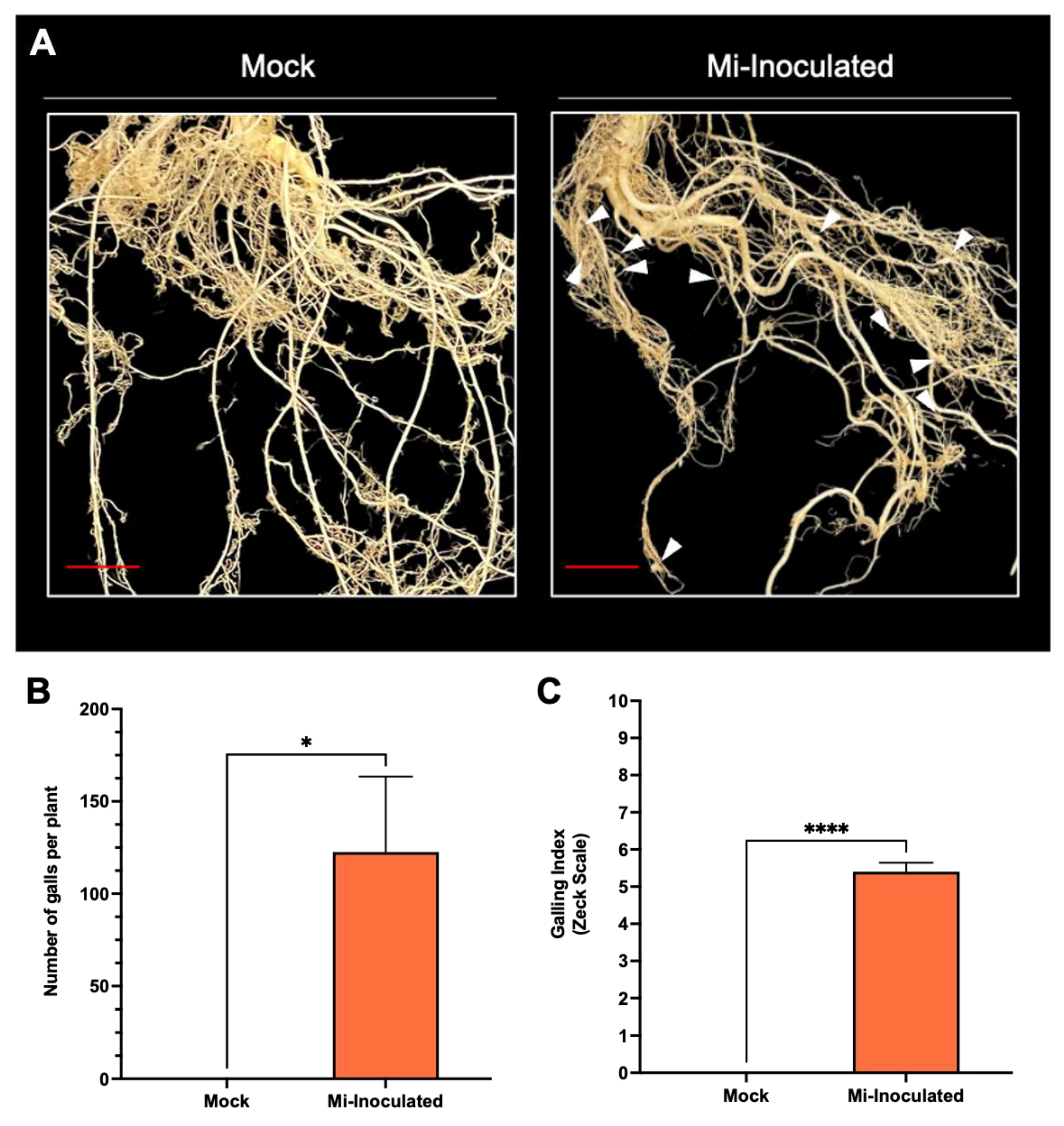 Biology 13 00267 g002